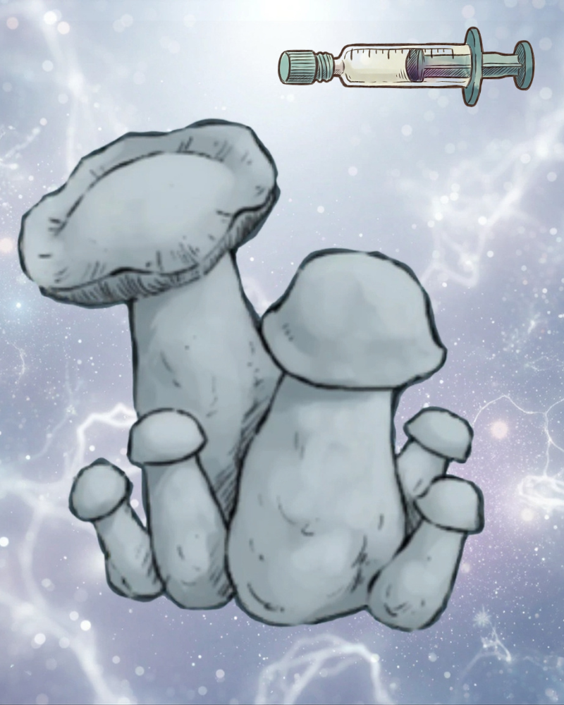 Płynne kultury Jack Rabbit