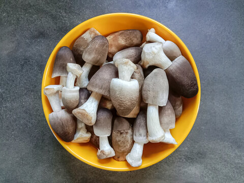 Fresh Paddy Straw Mushrooms– Farm Fresh Gourmet Quality
