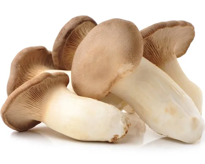 Fresh King Oyster Mushrooms – Premium Gourmet Variety
