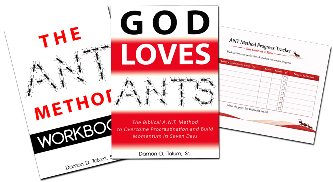 God Loves Ants