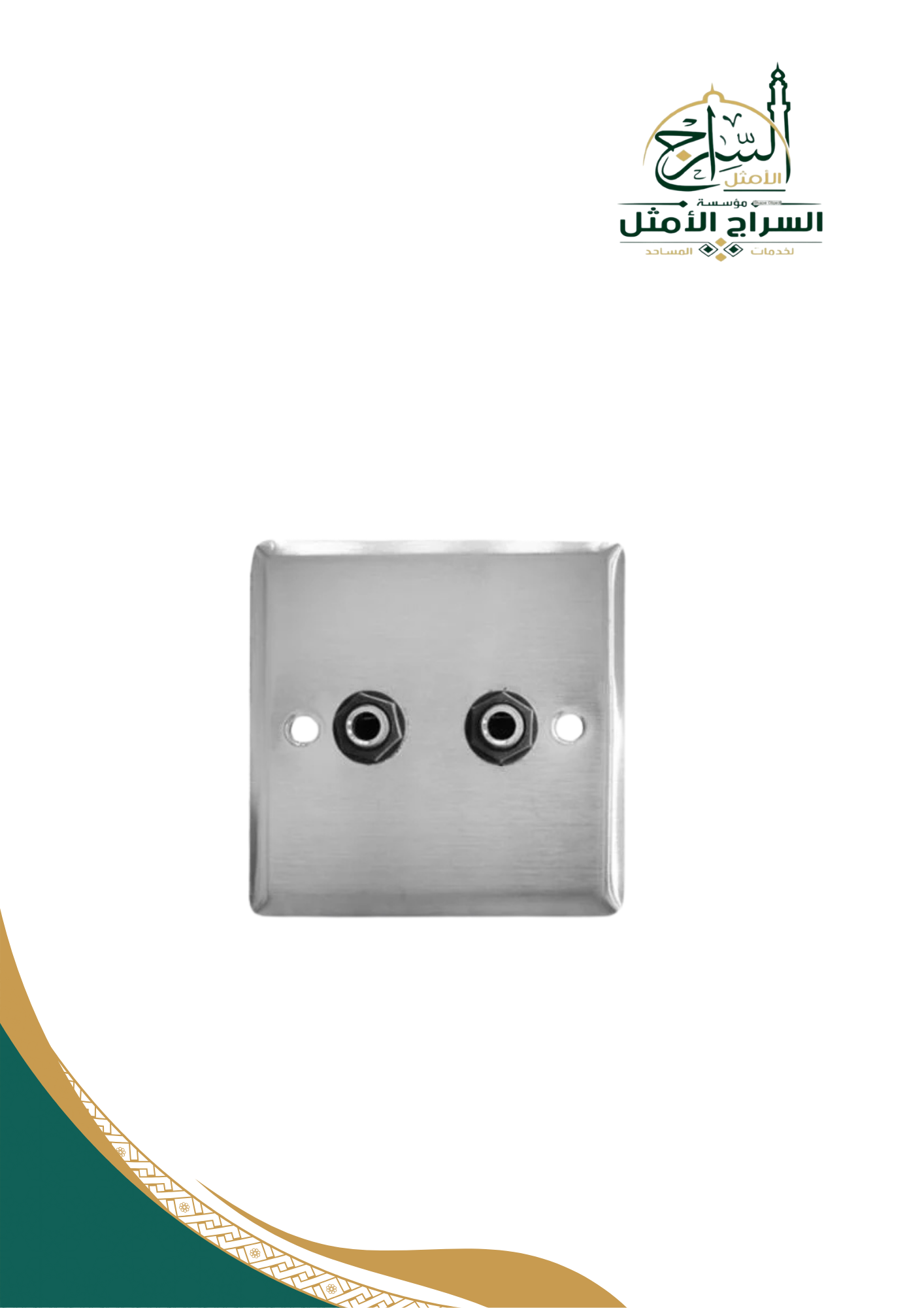 نقطة مايك جدارية 6.35 استريو انثى جدارية مزدوجة Srainless steel Double MONO 6.35 MIC WALL PLINT