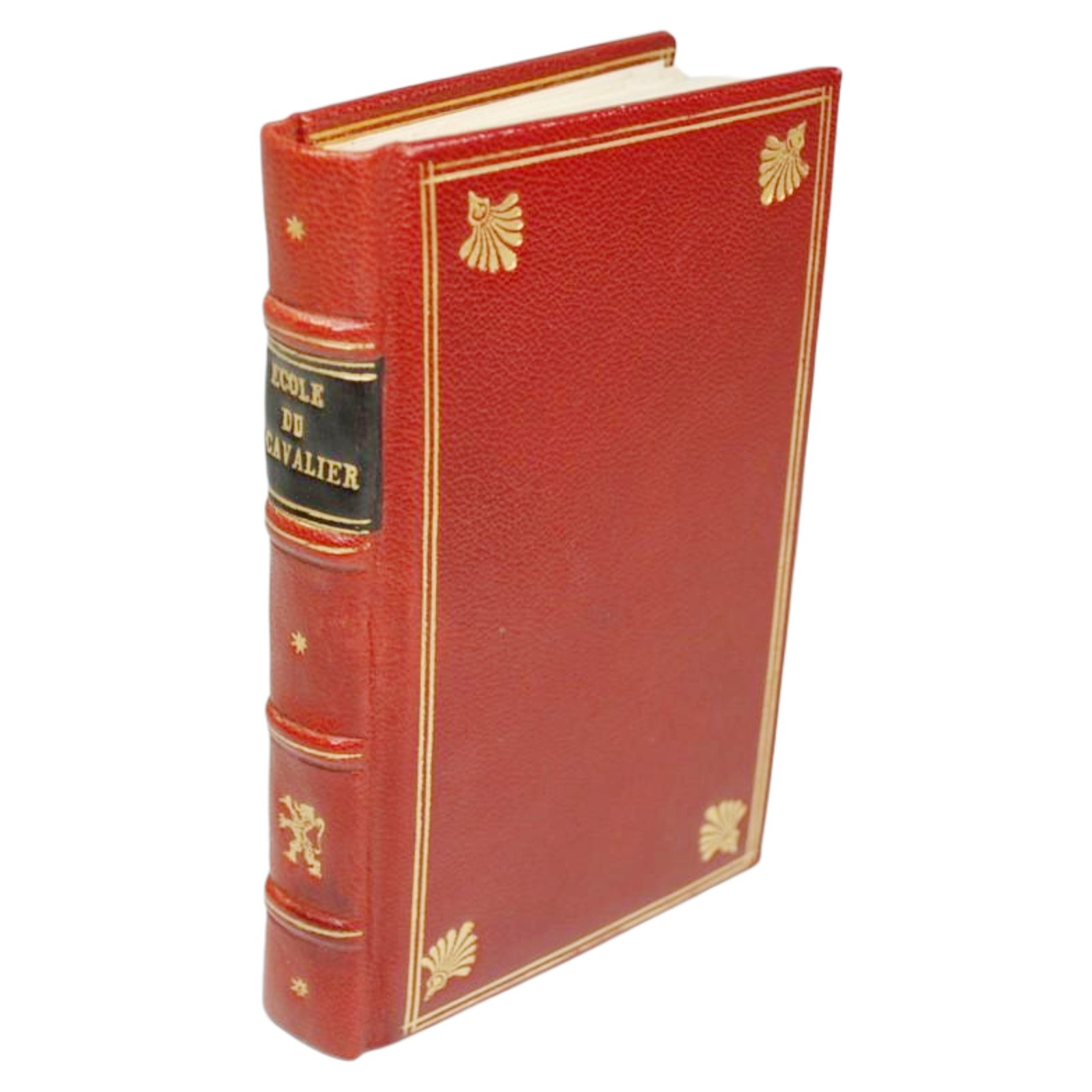 ECOLE DU CAVALIER A PIED ET A CHEVAL