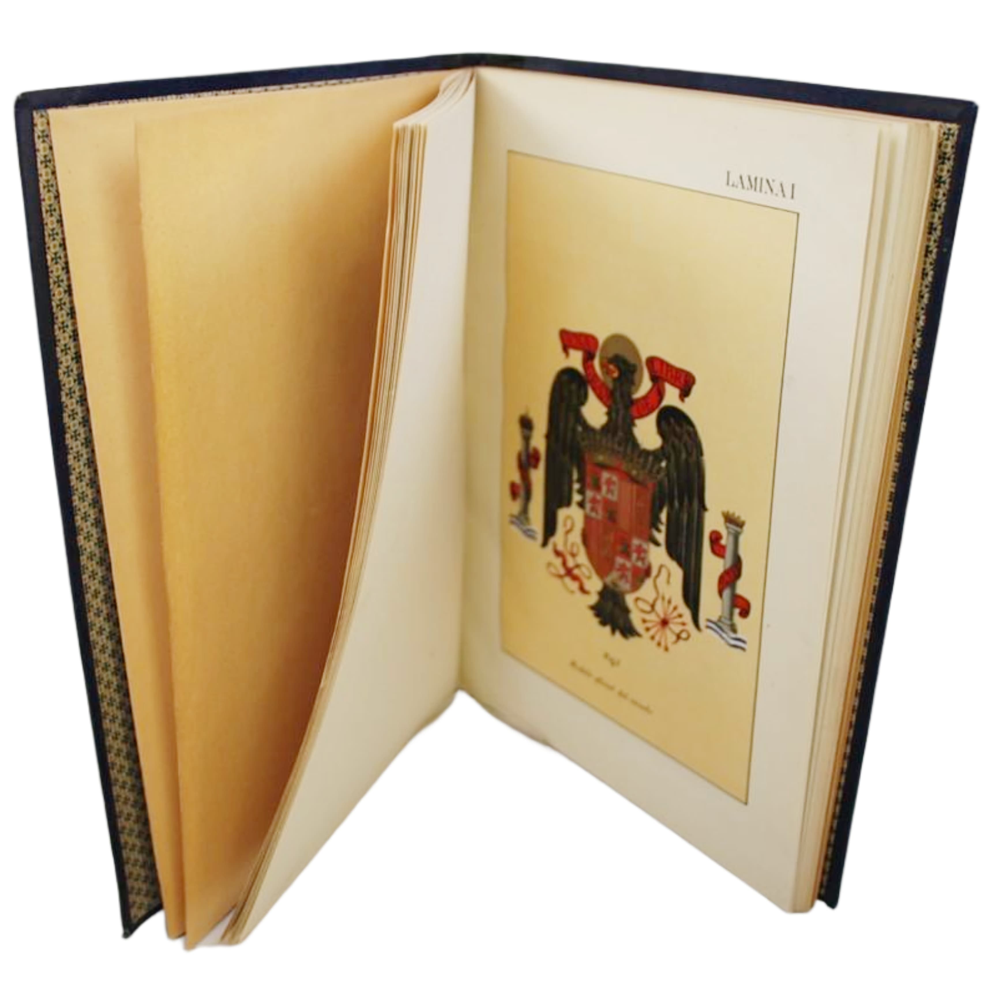 REGLAMENTO DE BANDERAS, INSIGNIAS Y DISTINTIVOS.