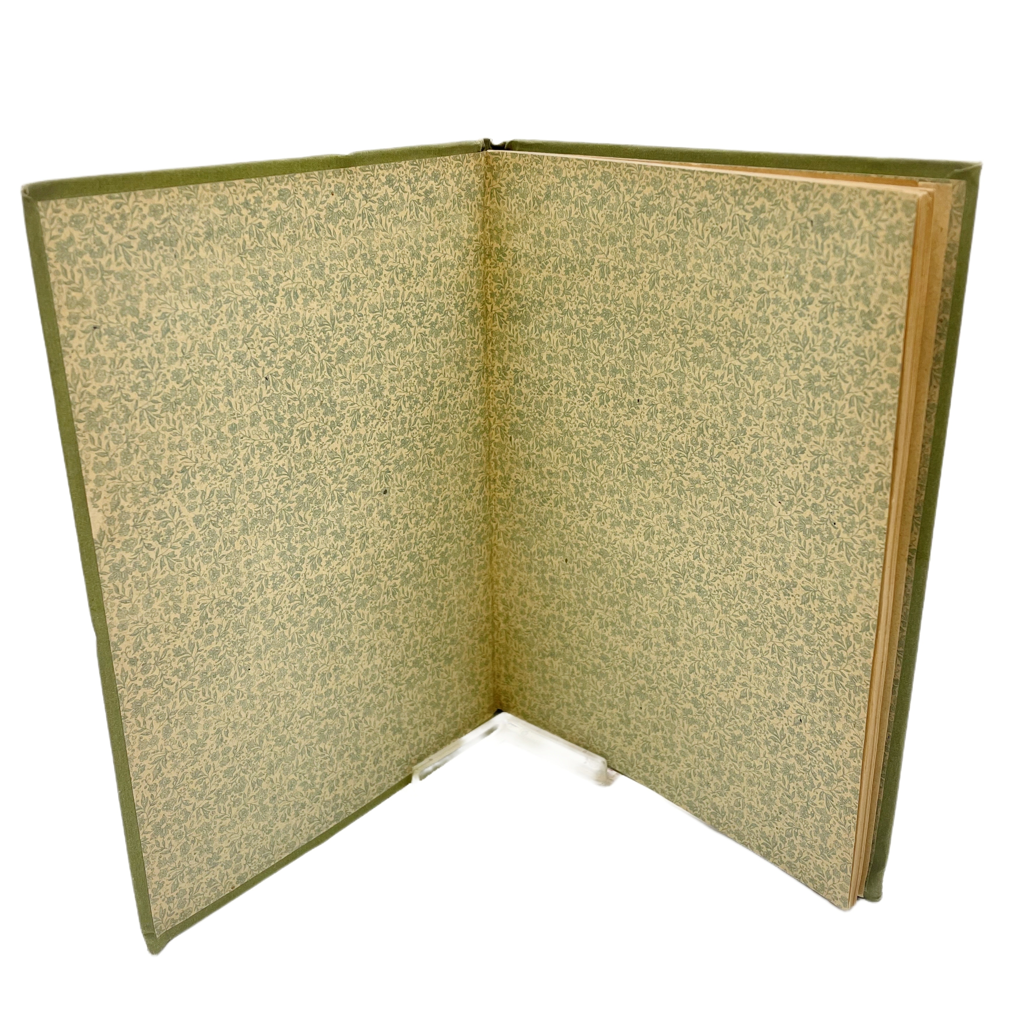 GRAMÁTICA PÁMUE IDIOMA DE LOS MÁS EXTENDIDOS EN EL GOLFO DE GUINEA Y GRAN PARTE DE ÁFRICA ECUATORIAL POR EL R. P. ALFREDO BOLADOS CÁRTER