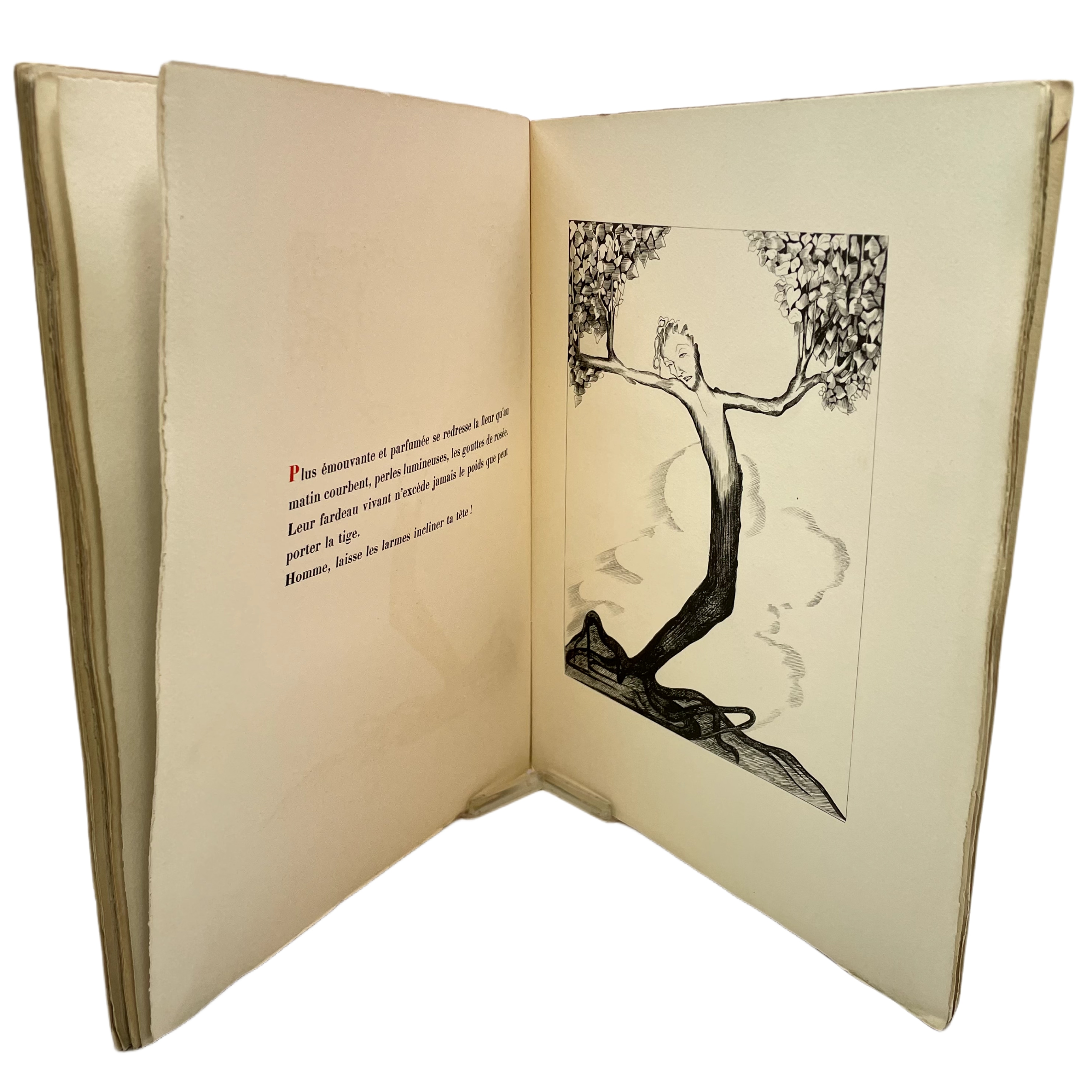 OMBRE LUMIERE AVEC VINGT-SEPT BLANCS ET NOIRS DESSINÉS PAR MANFREDO BORSI