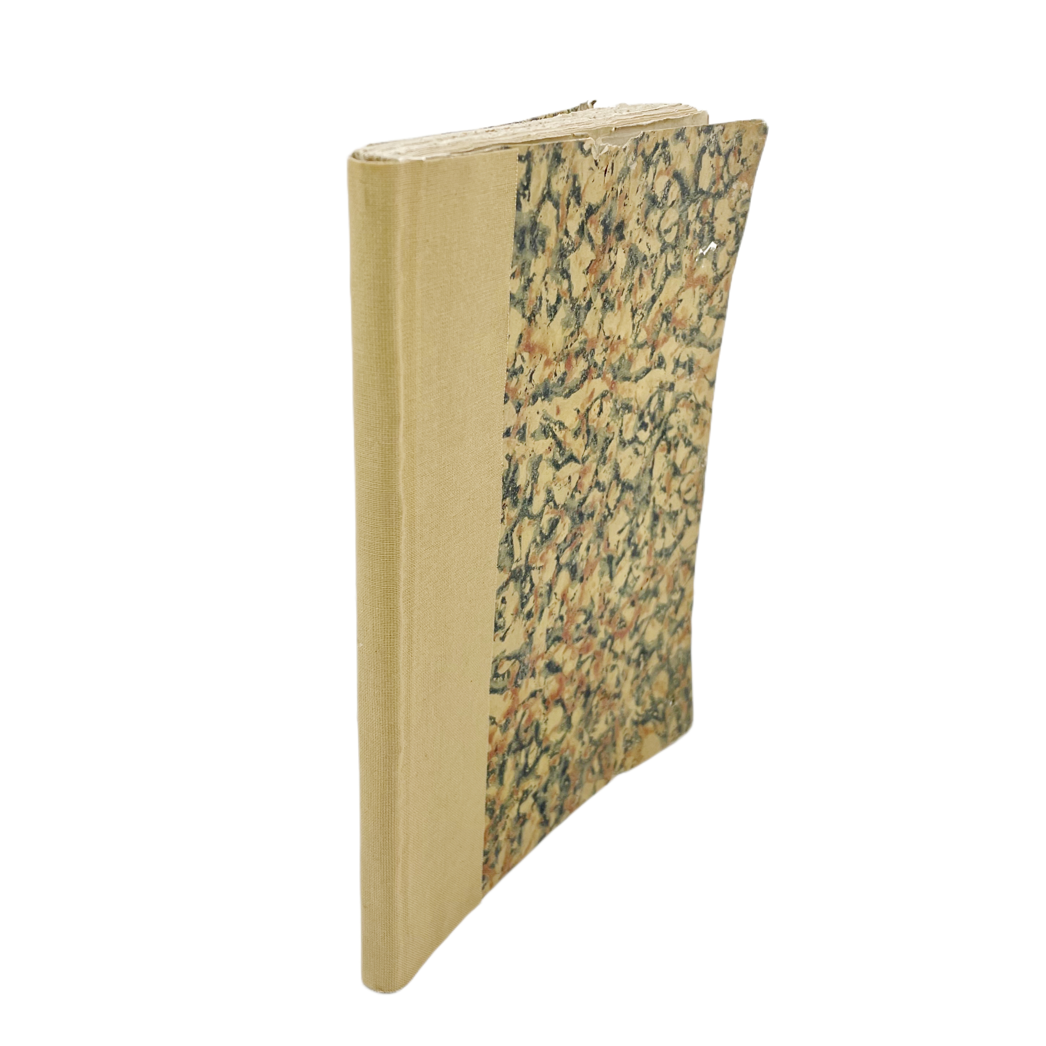 PRINCIPI ELEMENTARI DI BOTANICA DI G. A. CAVANILLES TRADOTTO DALLO SPAGNUOLO DAL DOTT. DOM. VIVIANI PUBLICOPROFESSORE DI BOTANICA IN GENOVA