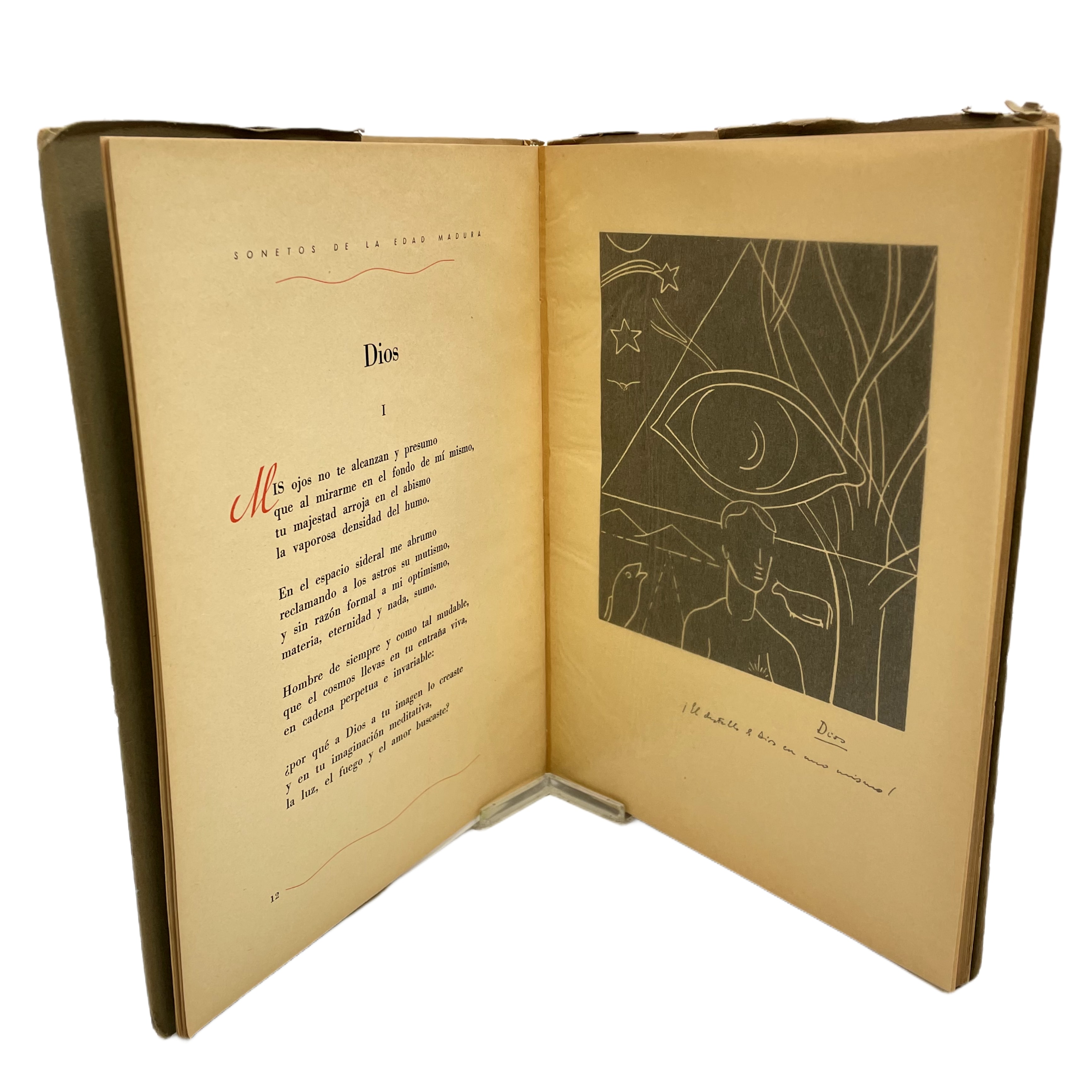 SONETOS DE LA EDAD MADURA