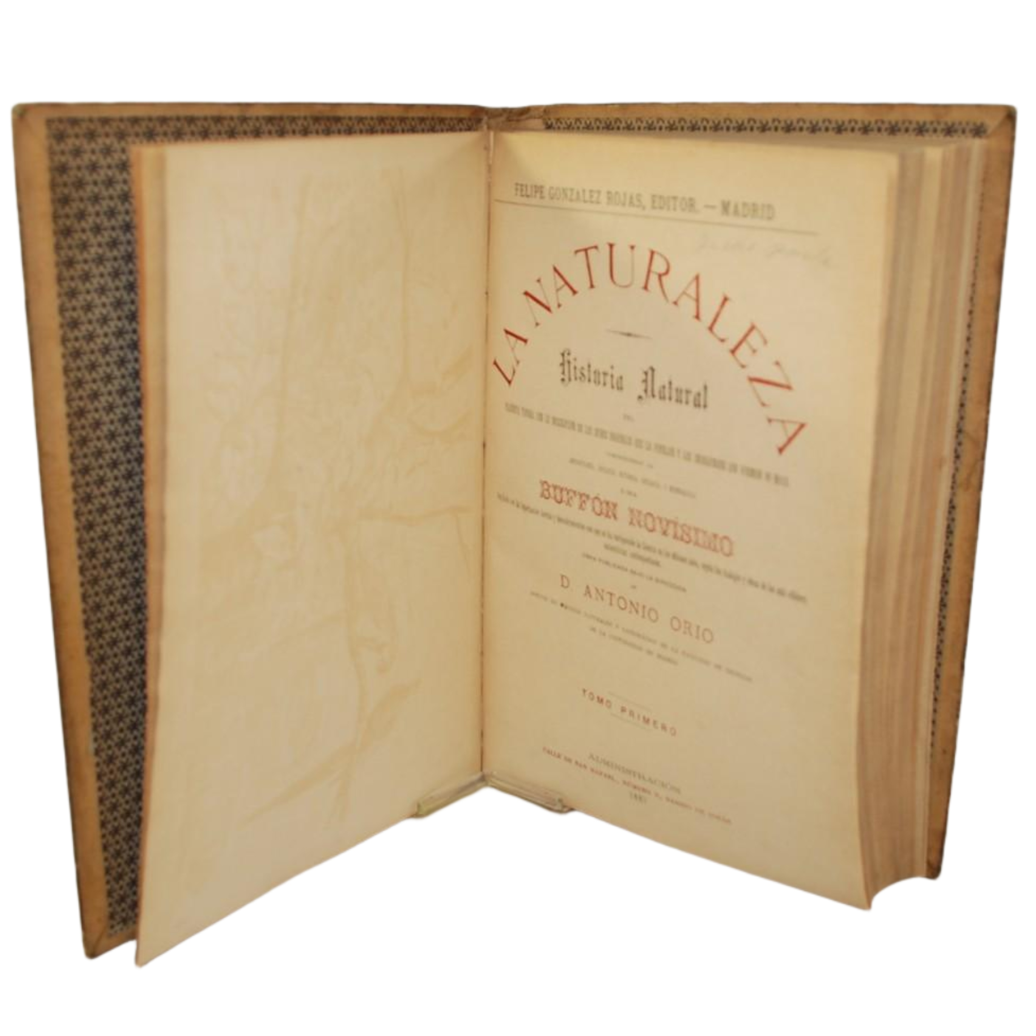 LA NATURALEZA. HISTORIA NATURAL DEL PLANETA TIERRA CON LA DESCRIPCIÓN DE LOS SERES ORGÁNICOS QUE LA PUEBLAN Y LOS INORGÁNICOS QUE FORMAN SU MASA, COMPRENDIENDO LA ANTROPOLOGÍA, ZOOLOGÍA, BOTÁNICA, GEOLOGÍA Y MINERALOGÍA, ...