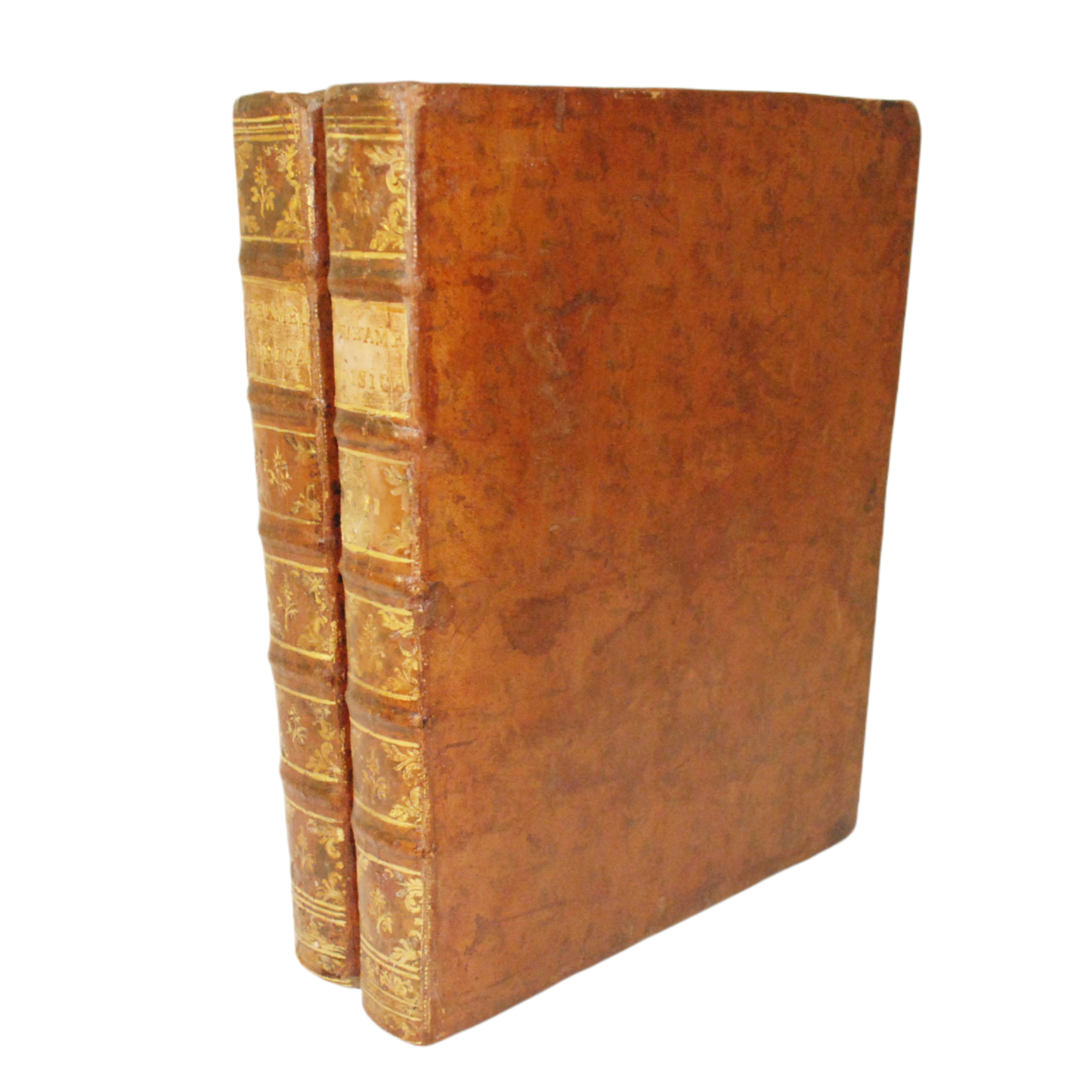 PHYSICA DE LOS ARBOLES, EN LA QUAL SE TRATA DE LA ANATOMIA DE LAS PLANTAS Y DE LA ECONOMIA VEGETAL, Ó SEA INTRODUCCIÓN AL TRATADO GENERAL DE BOSQUES Y MONTES, CON UNA DISERTACIÓN SOBRE LA UTILIDAD DE LOS MÉTODOS BOTÁNICOS....