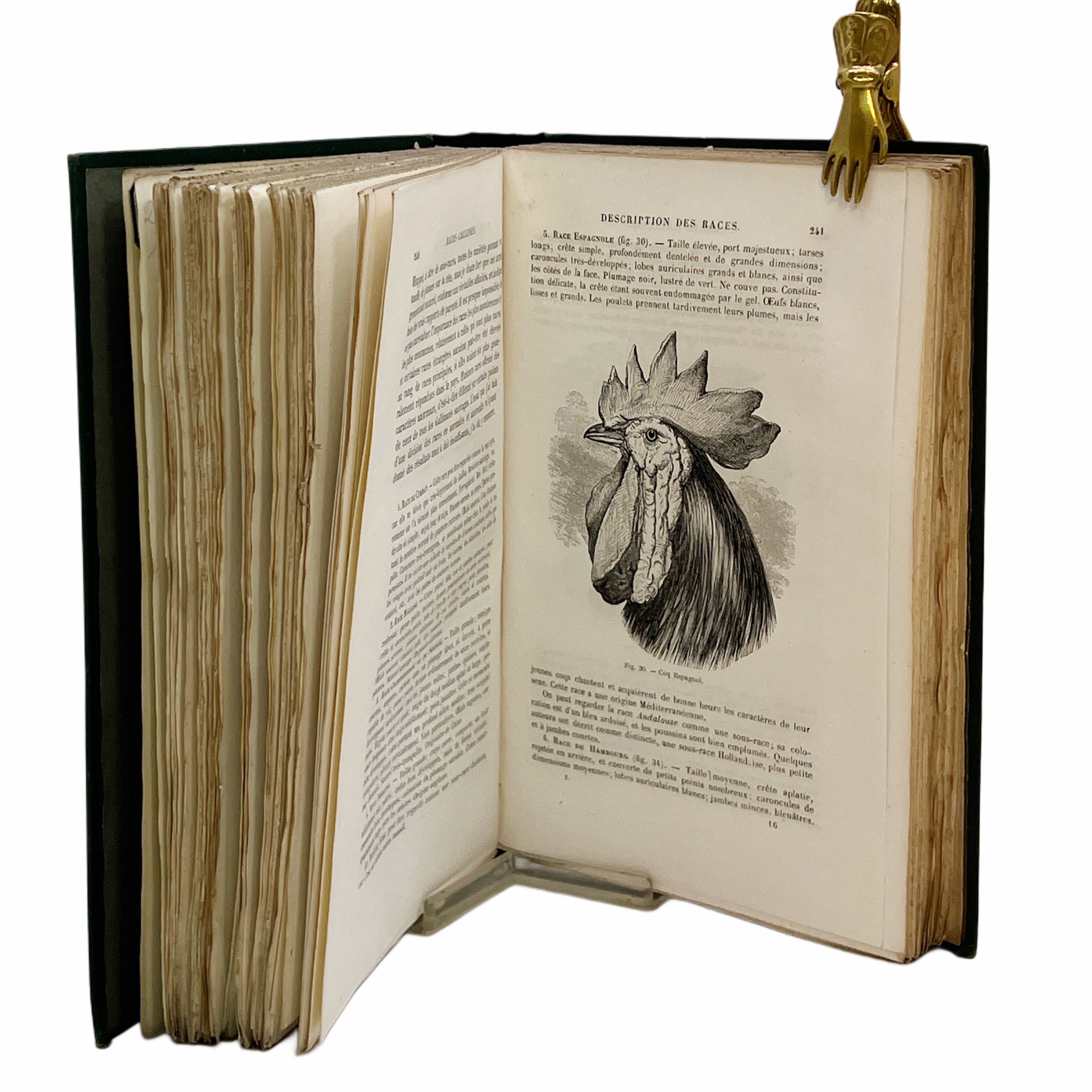 DE LA VARIATION DES ANIMAUX ET DES PLANTES, SOUS L’ACTION DE LA DOMESTICATION