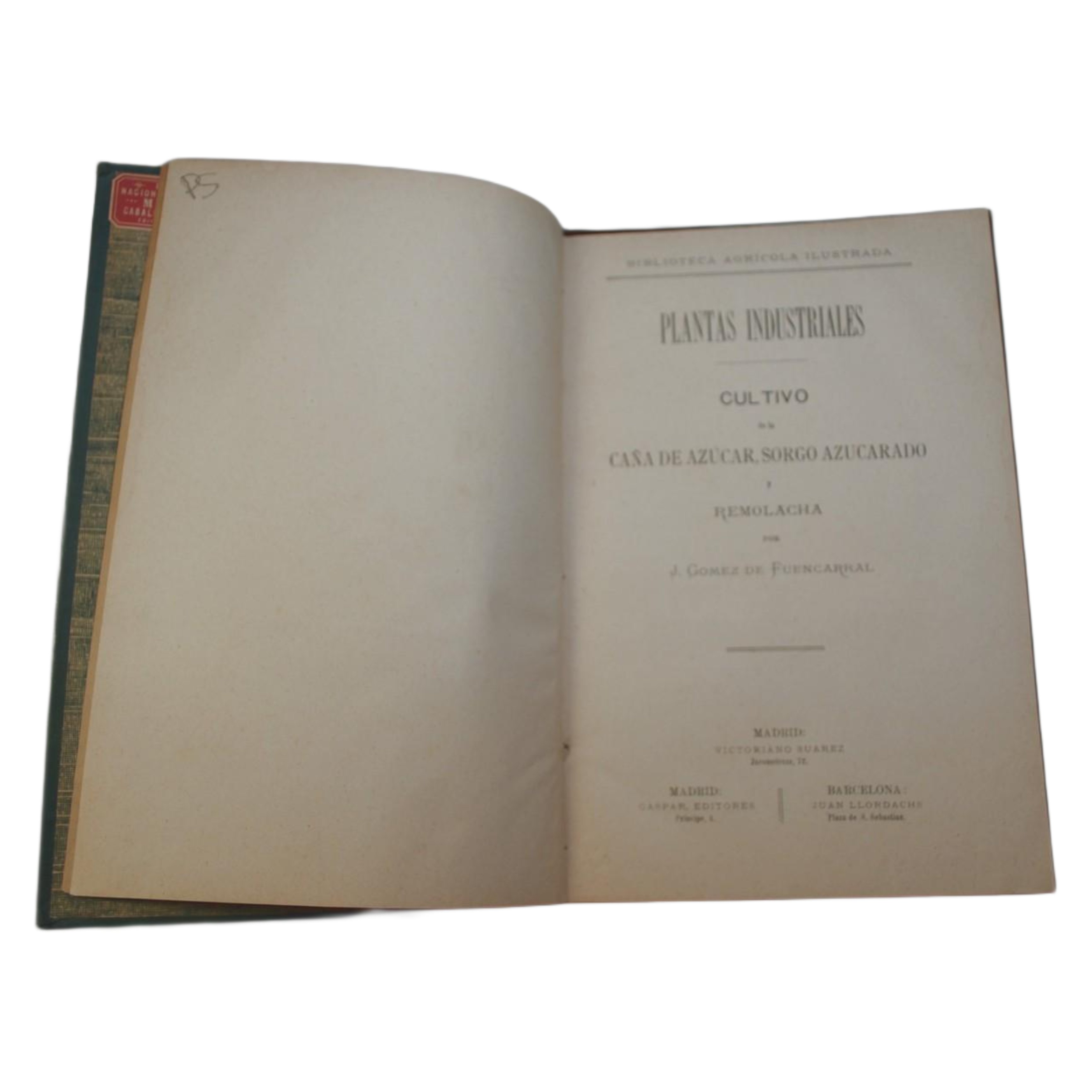 PLANTAS INDUSTRIALES: CULTIVO DE LA CAÑA DE AZUCAR, SORGO AZUCARADO Y REMOLACHA