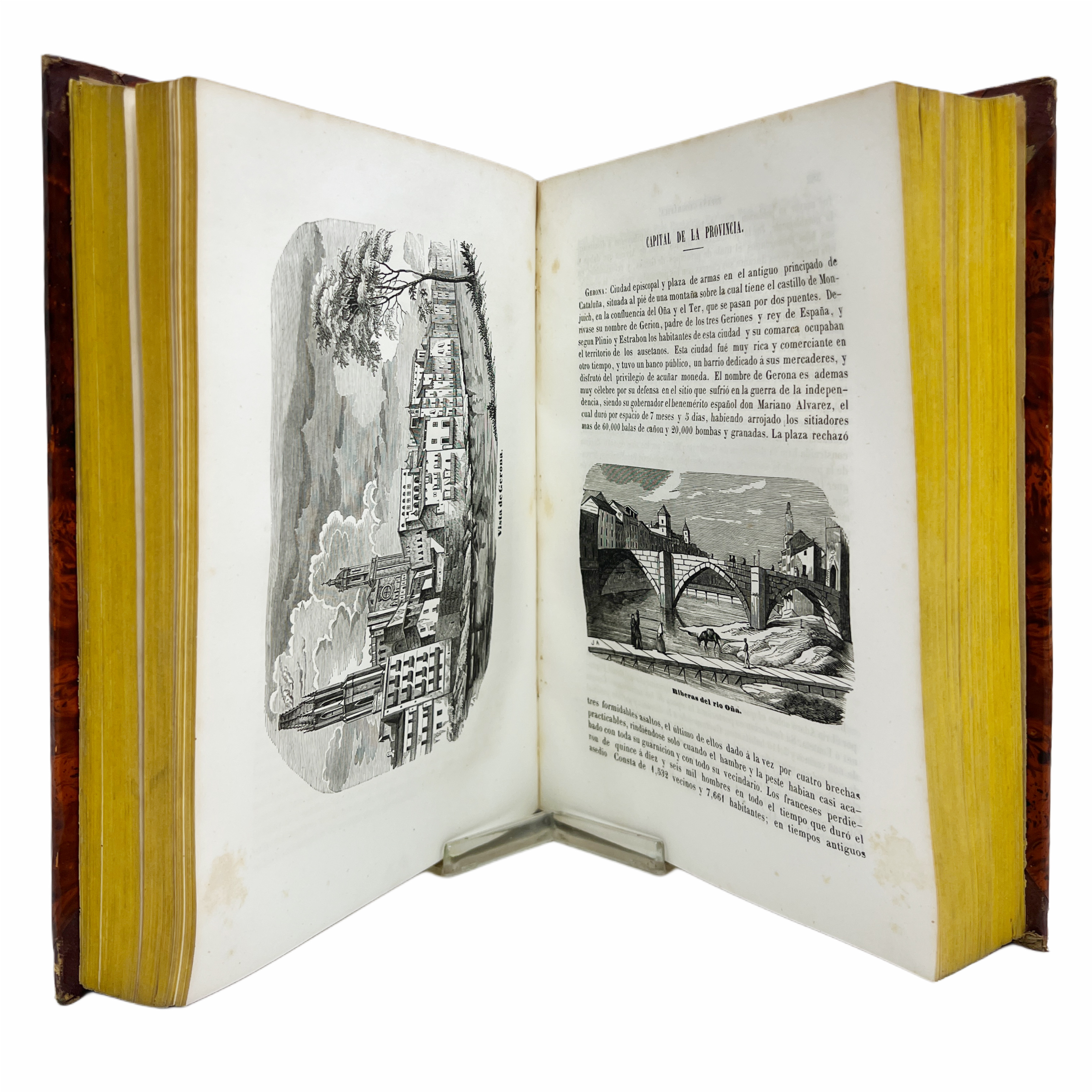 ESPAÑA GEOGRÁFICA, HISTÓRICA, ESTADÍSTICA Y PINTORESCA. DESCRIPCIÓN DE LOS PUEBLOS MÁS NOTABLES DEL REINO É ISLAS ADYACENTES- SU SITUACIÓN, HISTORIA, COSTUMBRES, INDUSTRIA, COMERCIO, POBLACIÓN, PRODUCTOS, CONTRIBUCIONES, CONSUMOS, ESTABLECIMIENTOS ..