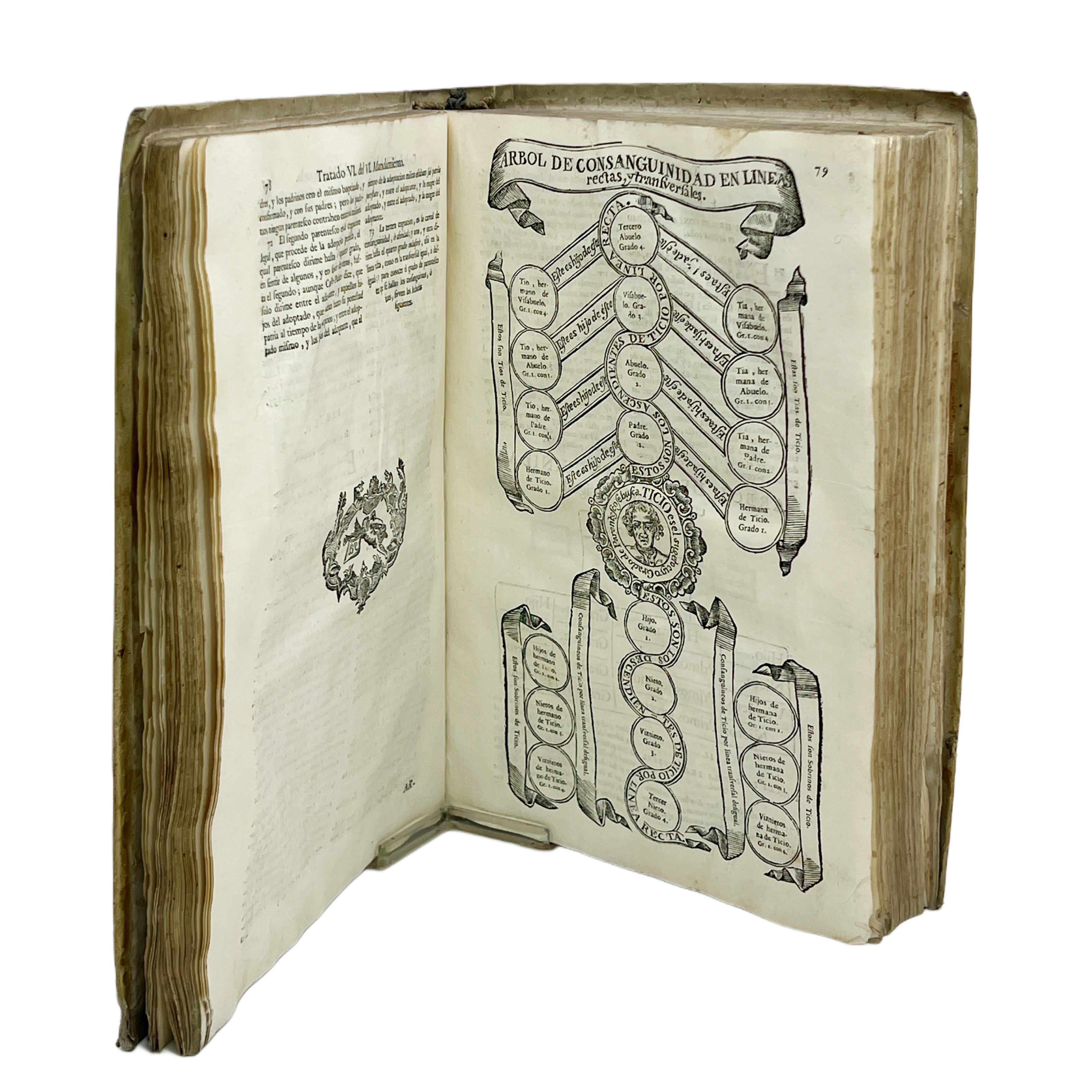 PRACTICA DEL CONFESSONARIO, Y EXPLICACION DE LAS SESENTA Y CINCO PROPOSICIONES CONDENADAS POR LA SANTIDAD DE N. SS. P. INNOCENCIO XI. SU MATERIA, LOS CASOS MAS SELECTOS DE LA THEOLOGIA MORAL. ...