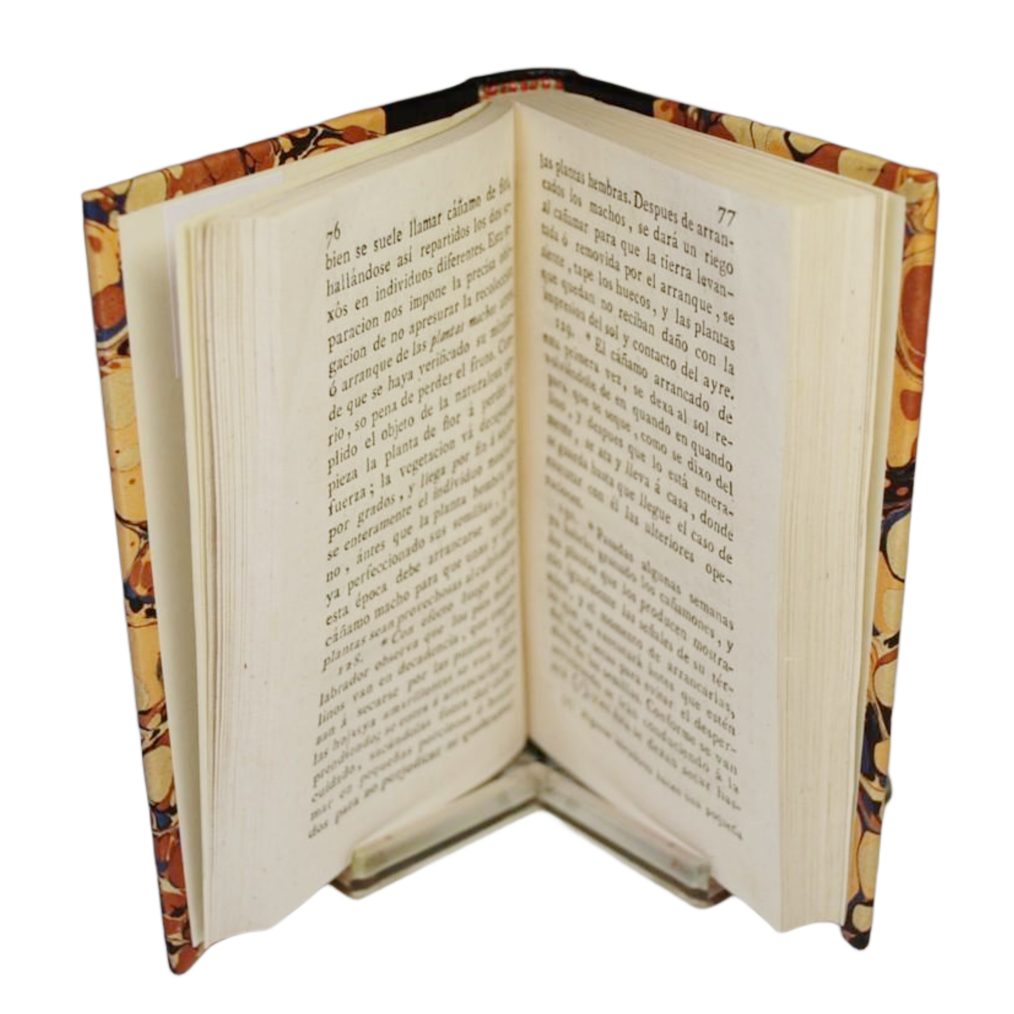 CARTILLA ELEMENTAL DE AGRICULTURA ACOMODADA Á NUSTRO SUELO Y CLIMA POR DON ANTONIO SANDALIO DE ARIAS Y COSTA, JARDINERO MAYOR DEL REAL CONVENTO DE SEÑORAS DE LA ENCARNACION DE ESTA CORTE