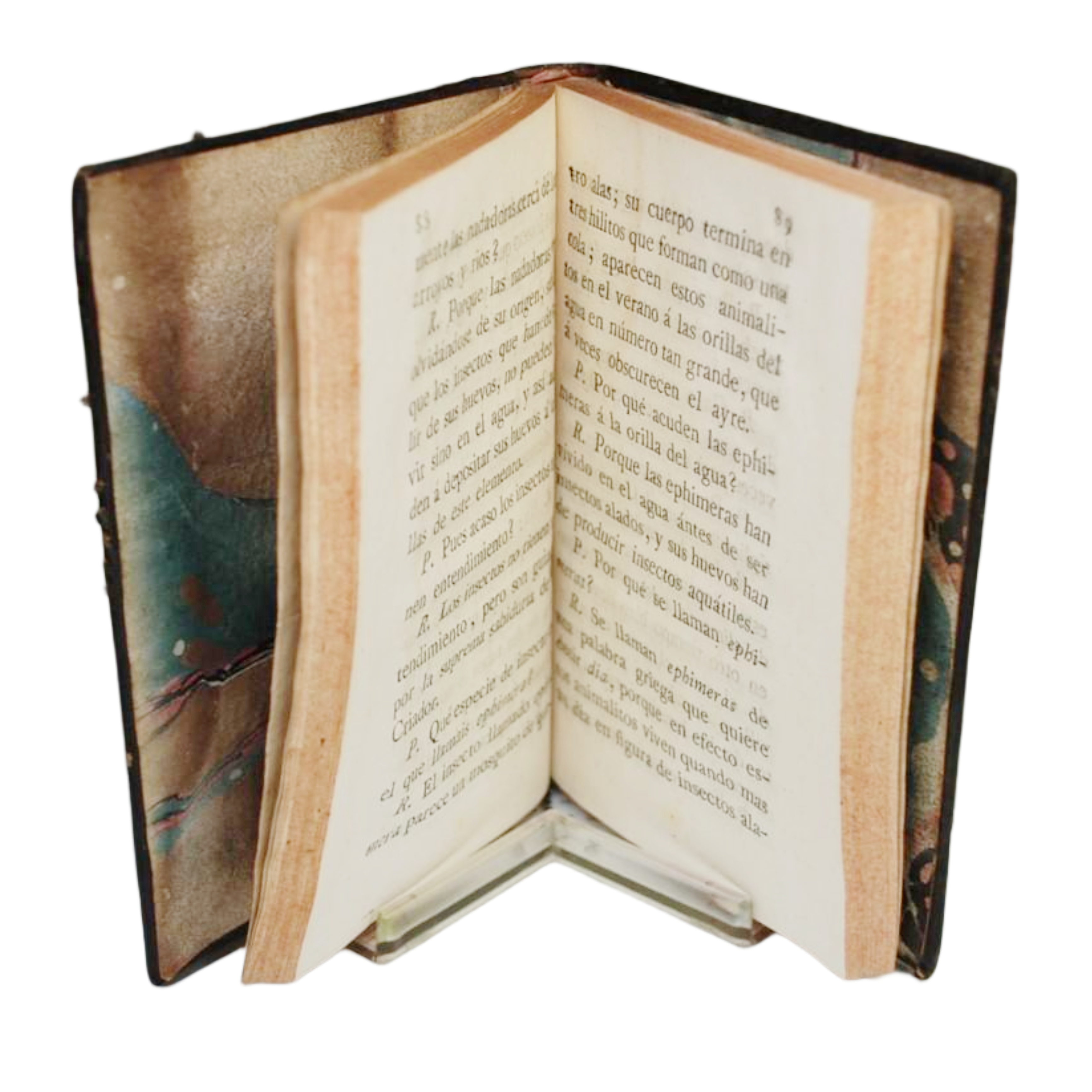 LECCIONES ELEMENTALES DE HISTORIA NATURAL POR PREGUNTAS Y RESPUESTAS PARA EL USO DE LOS NIÑOS ESCRITAS POR MR. COTTE.