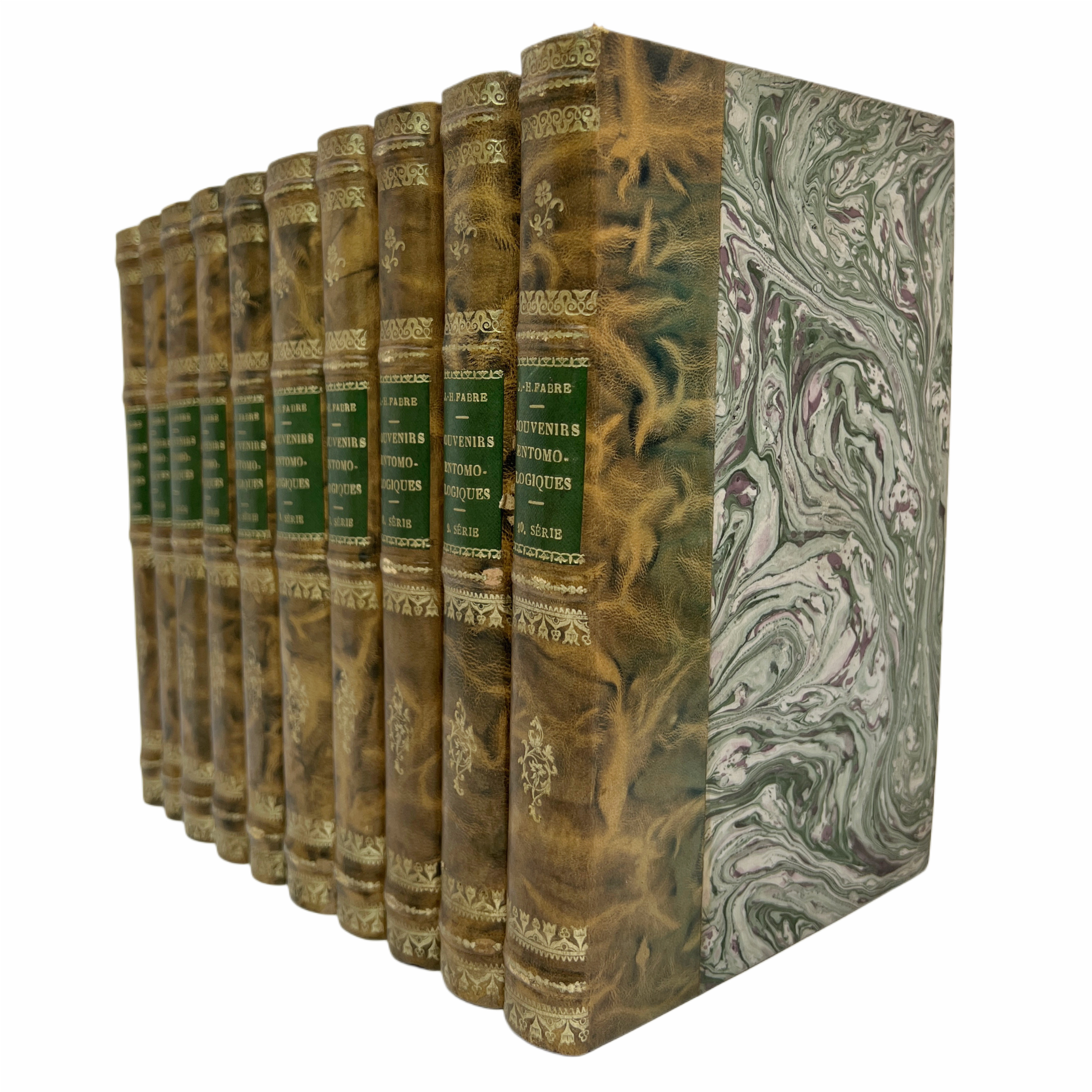 SOUVENIRS ENTOMOLOGIQUES