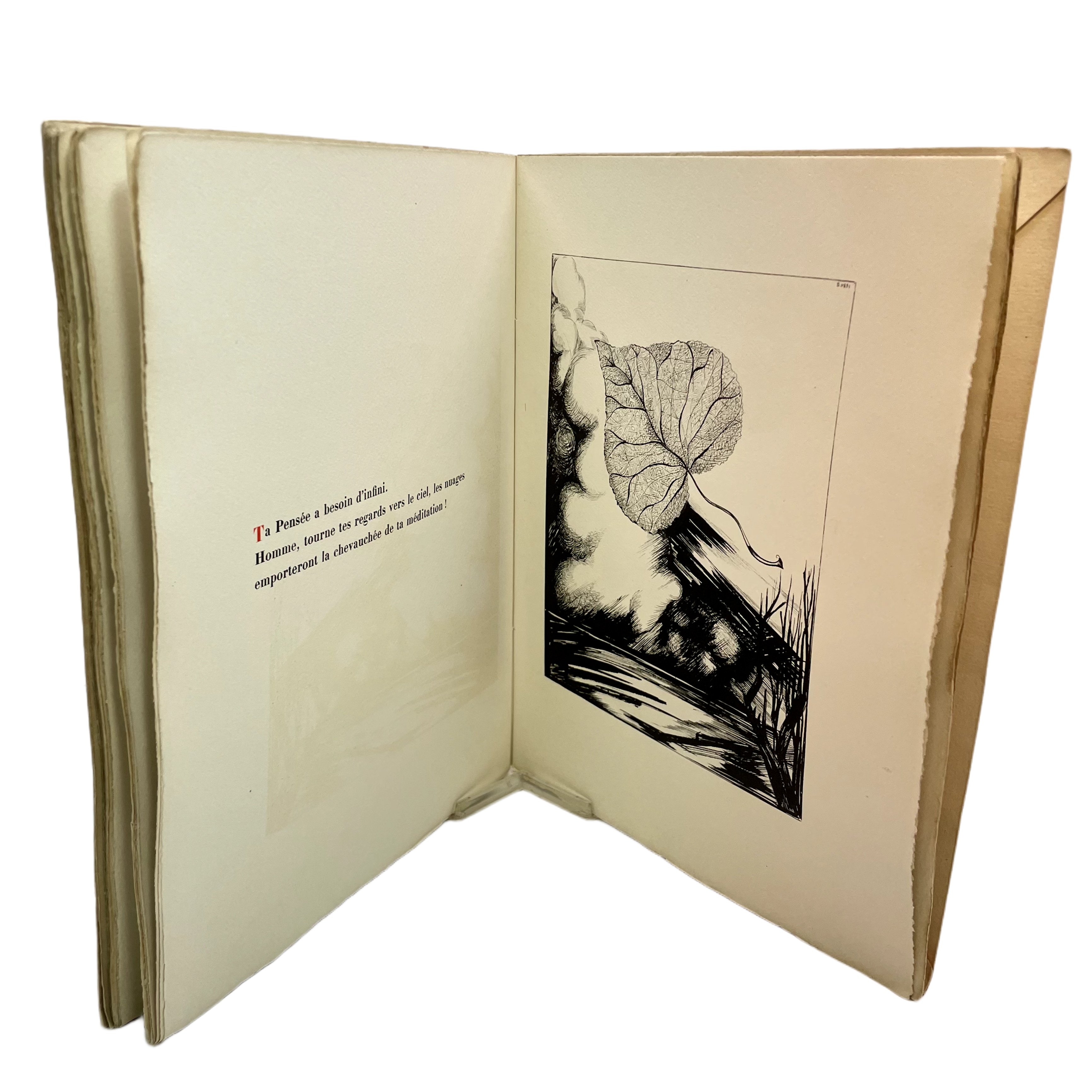 OMBRE LUMIERE AVEC VINGT-SEPT BLANCS ET NOIRS DESSINÉS PAR MANFREDO BORSI