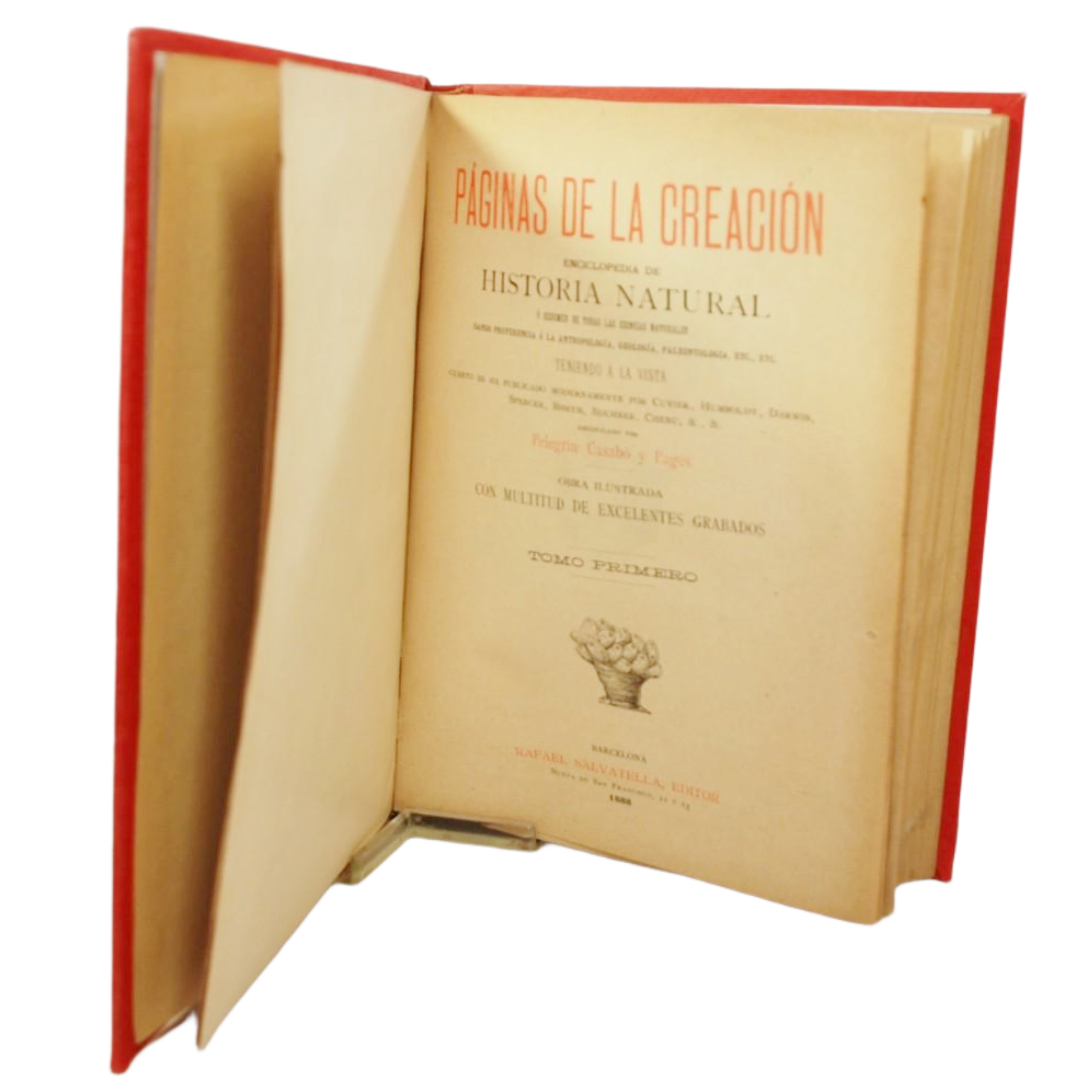 PÁGINAS DE LA CREACIÓN. ENCICLOPEDIA DE HISTORIA NATURAL Ó RESUMEN DE TODAS LAS CIENCIAS NATURALES DANDO PREFERENCIA Á LA ANTROPOLOGÍA, GEOLOGÍA, PALEONTOLOGÍA ETC., ETC....