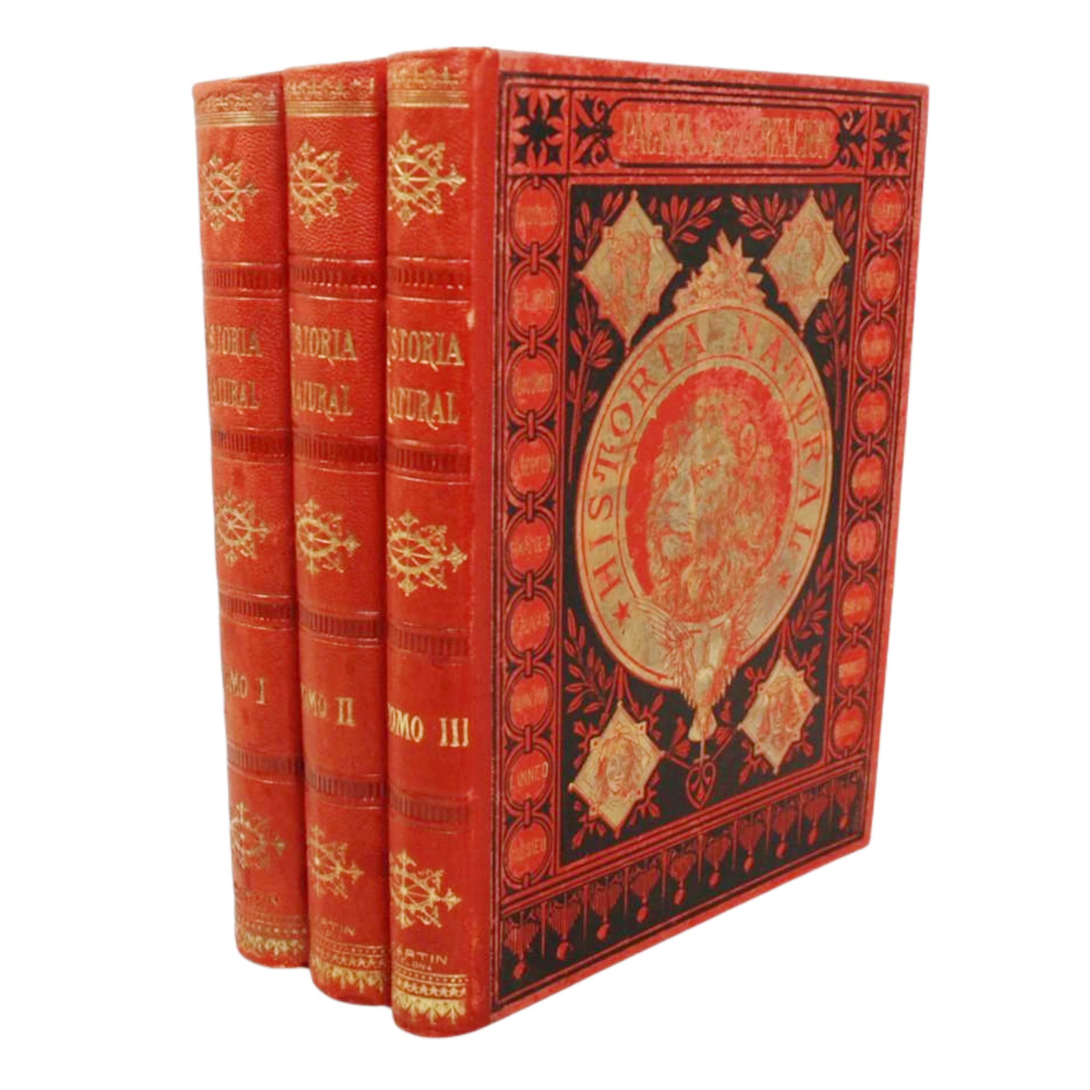 PÁGINAS DE LA CREACIÓN. ENCICLOPEDIA DE HISTORIA NATURAL Ó RESUMEN DE TODAS LAS CIENCIAS NATURALES DANDO PREFERENCIA Á LA ANTROPOLOGÍA, GEOLOGÍA, PALEONTOLOGÍA ETC., ETC....