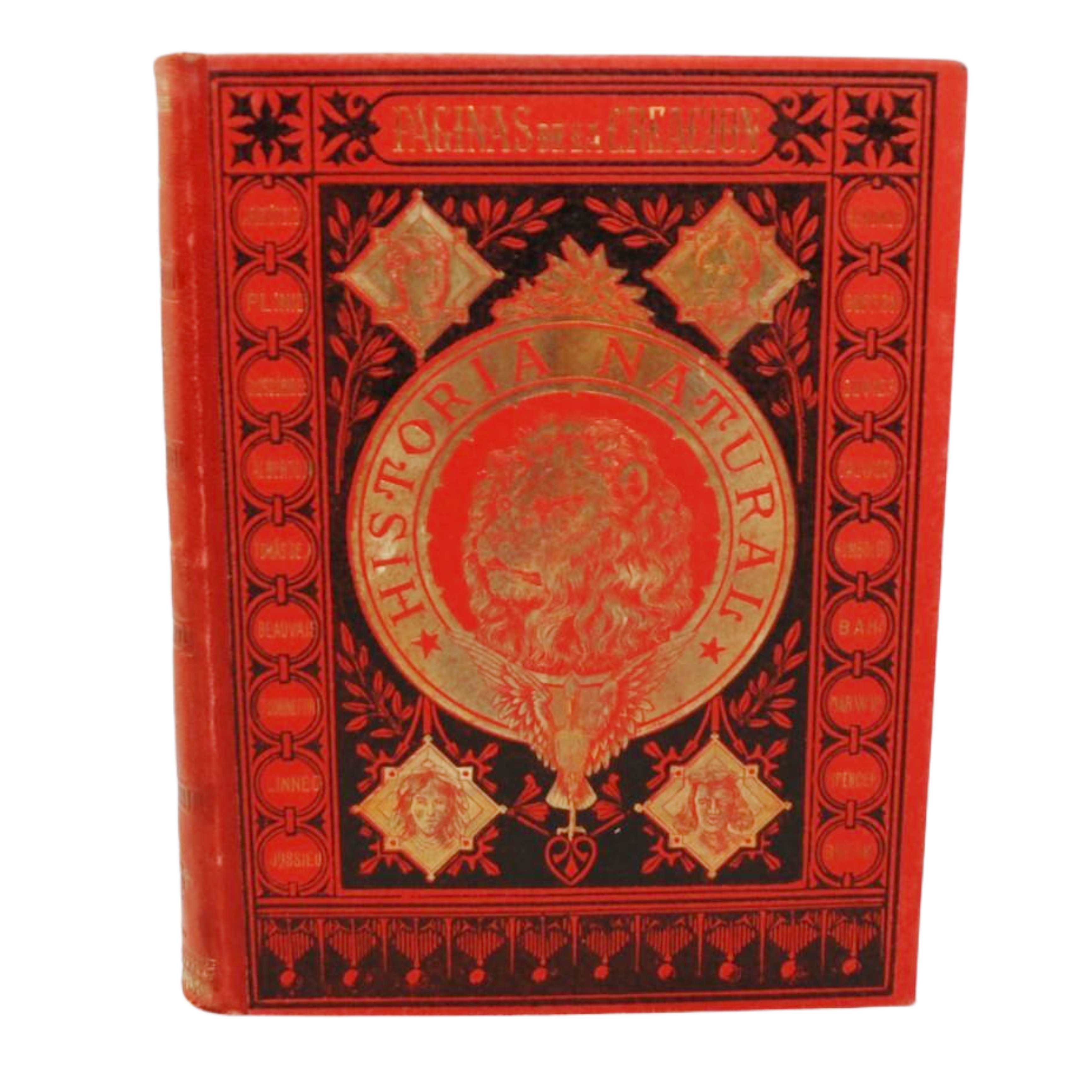 PÁGINAS DE LA CREACIÓN. ENCICLOPEDIA DE HISTORIA NATURAL Ó RESUMEN DE TODAS LAS CIENCIAS NATURALES DANDO PREFERENCIA Á LA ANTROPOLOGÍA, GEOLOGÍA, PALEONTOLOGÍA ETC., ETC....