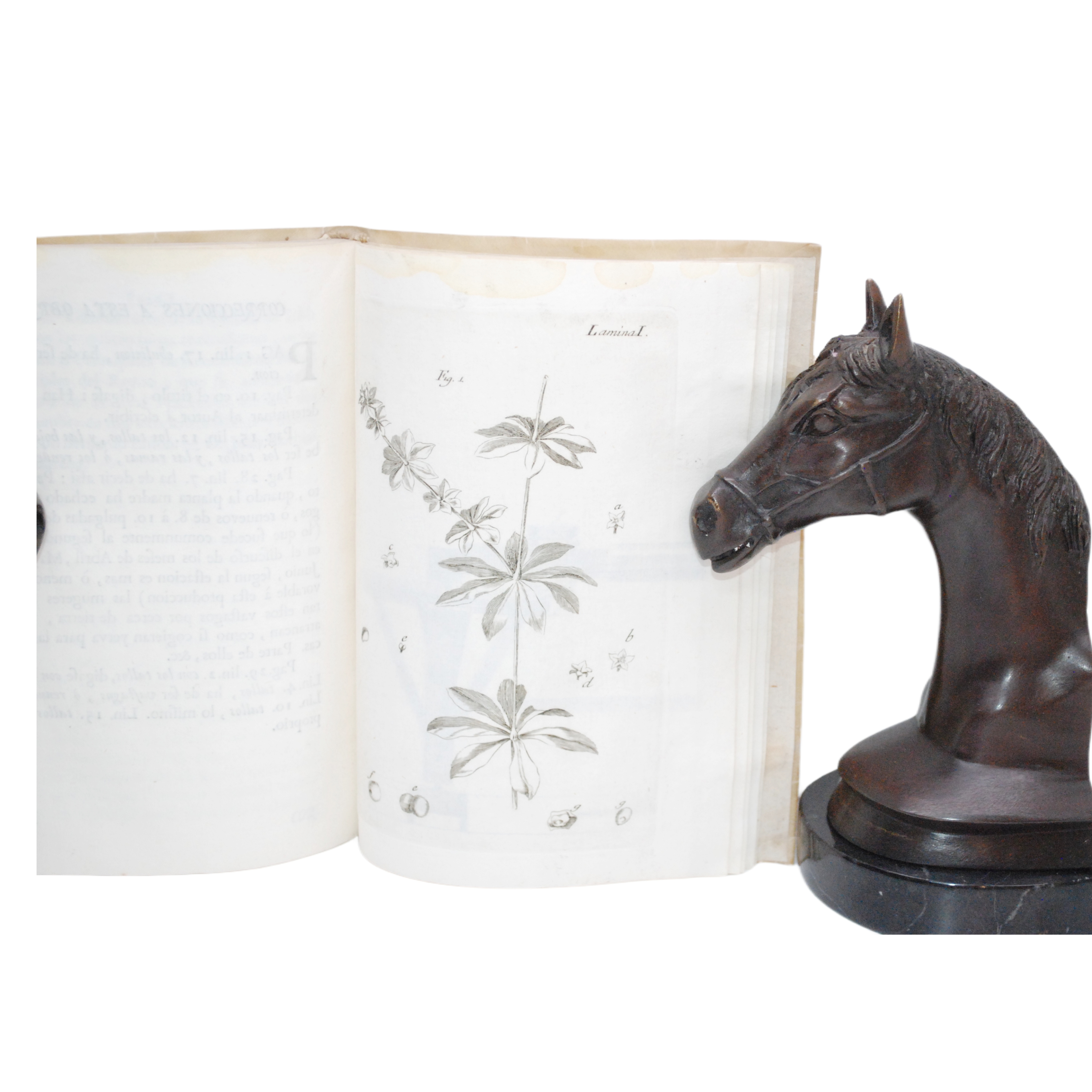 MEMORIAS SOBRE LA GRANZA Ó RUBIA Y SU CULTIVO, CON LA DESCRIPCIÓN DE LOS MOLINOS PARA REDUCIRLA A POLVO, POR MR. DU HAMEL DU MONCEAU... TRADUCIDAS DEL FRANCÉS DE ORDEN DE LA REAL JUNTA GENERAL DE COMERCIO.