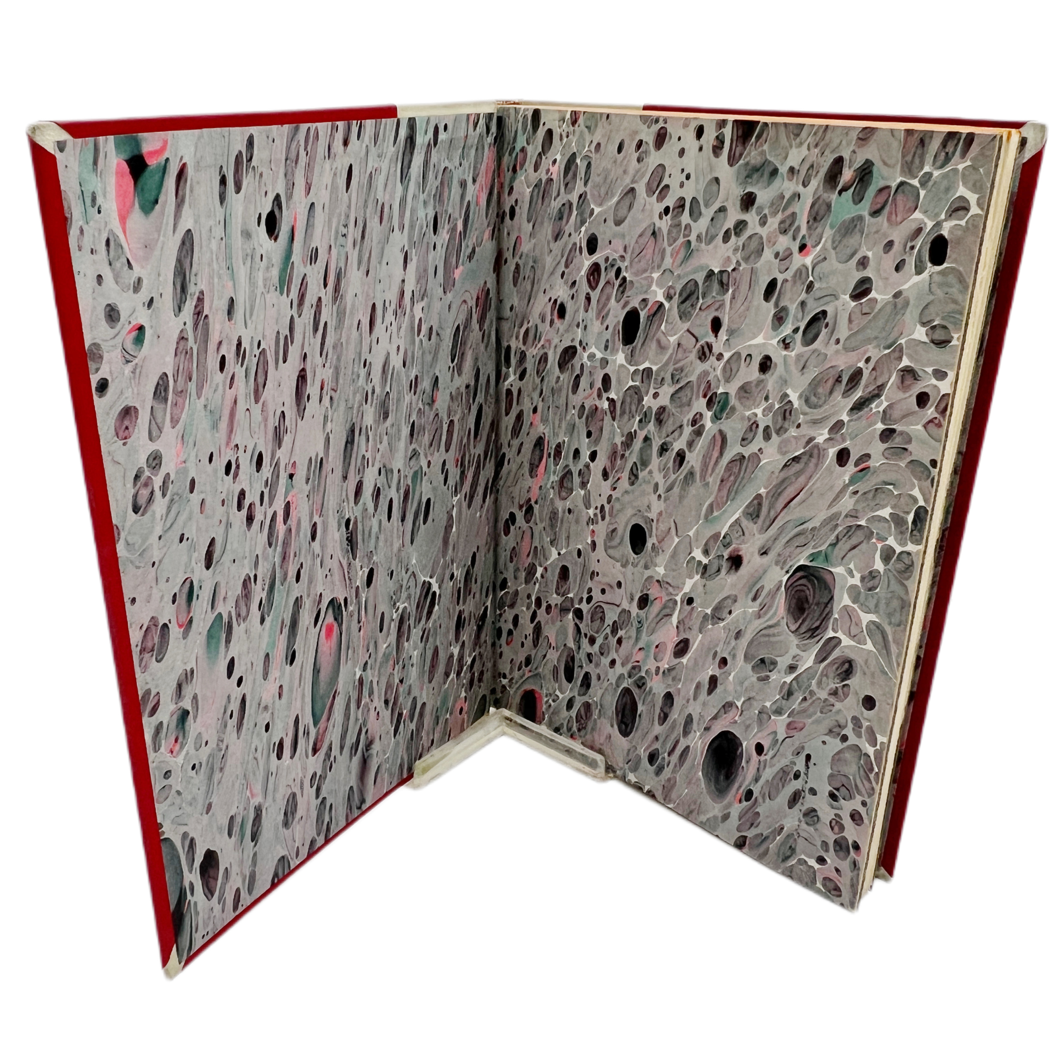 IMPRESORES Y LIBROS IMPRESOS EN ARAGÓN EN EL SIGLO XVI