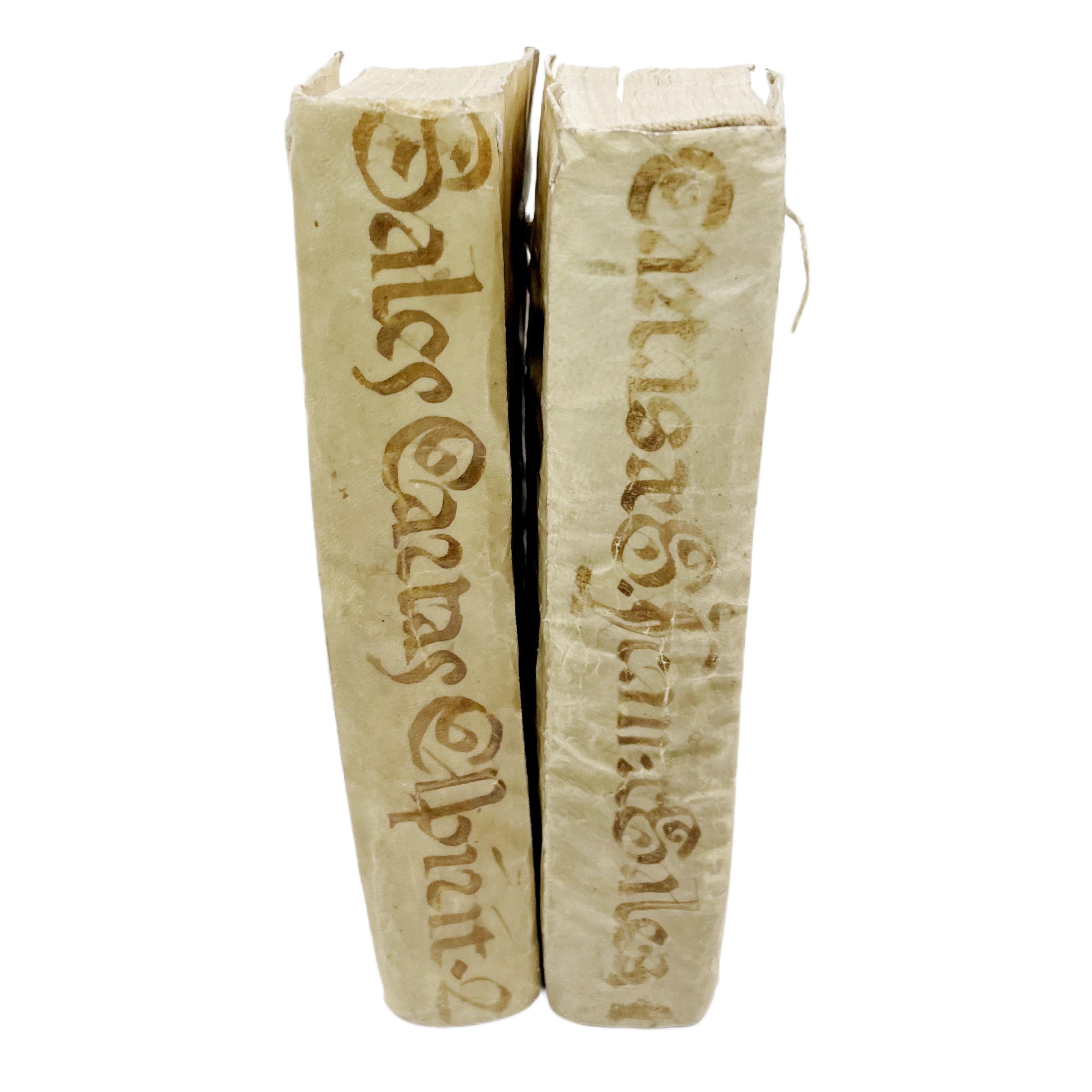 CARTAS ESPIRITUALES DE S. FRANCISCO DE SALES, OBISPO Y PRINCIPE DE GENEVA, FUNDADOR DEL ORDEN DE RELIGIOSAS DE LA VISITACIÓN DE SANTA MARÍA. TRADUCIDAS DEL IDIOMA FRANCÉS AL CASTELLANO, DIVIDAS EN SIETE LIBROS POR EL LICENCIADO DON FRANCISCO DE CUBIL