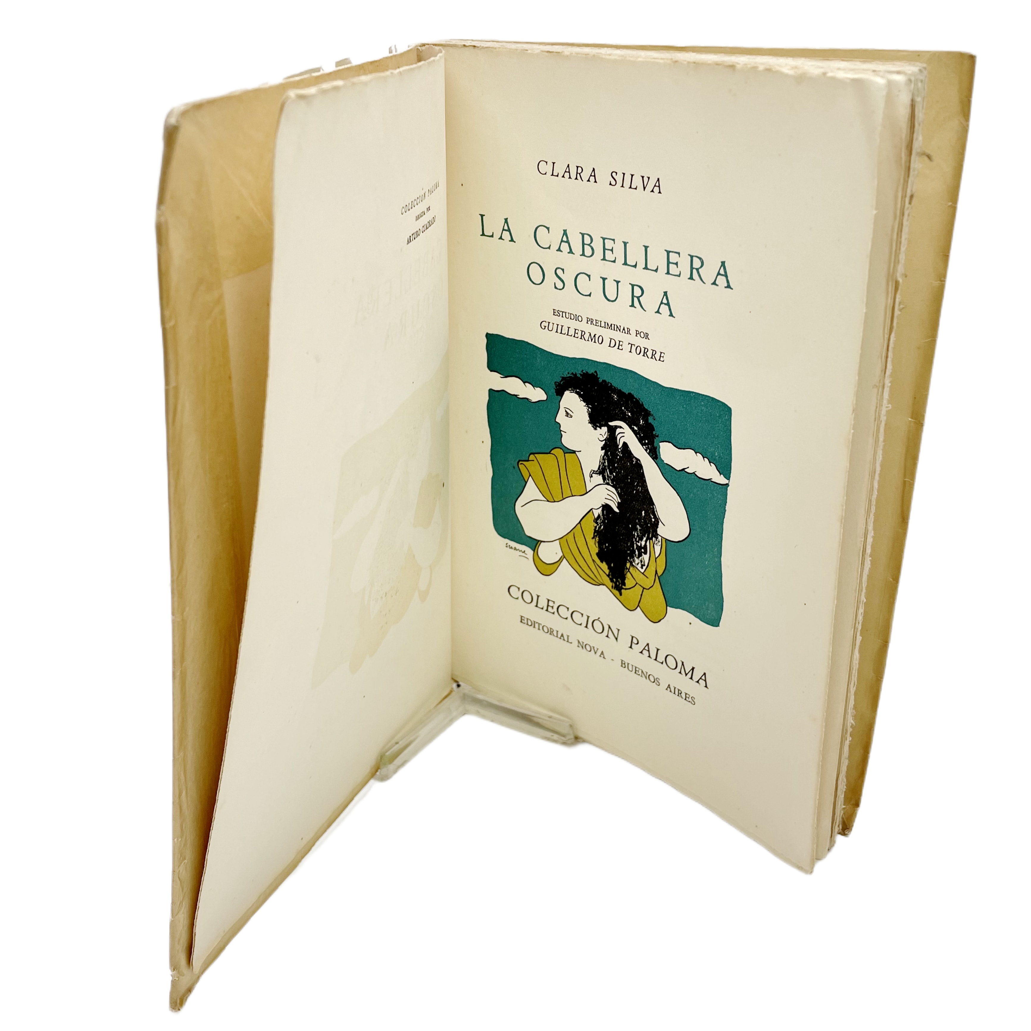 LA CABELLERA OSCURA.