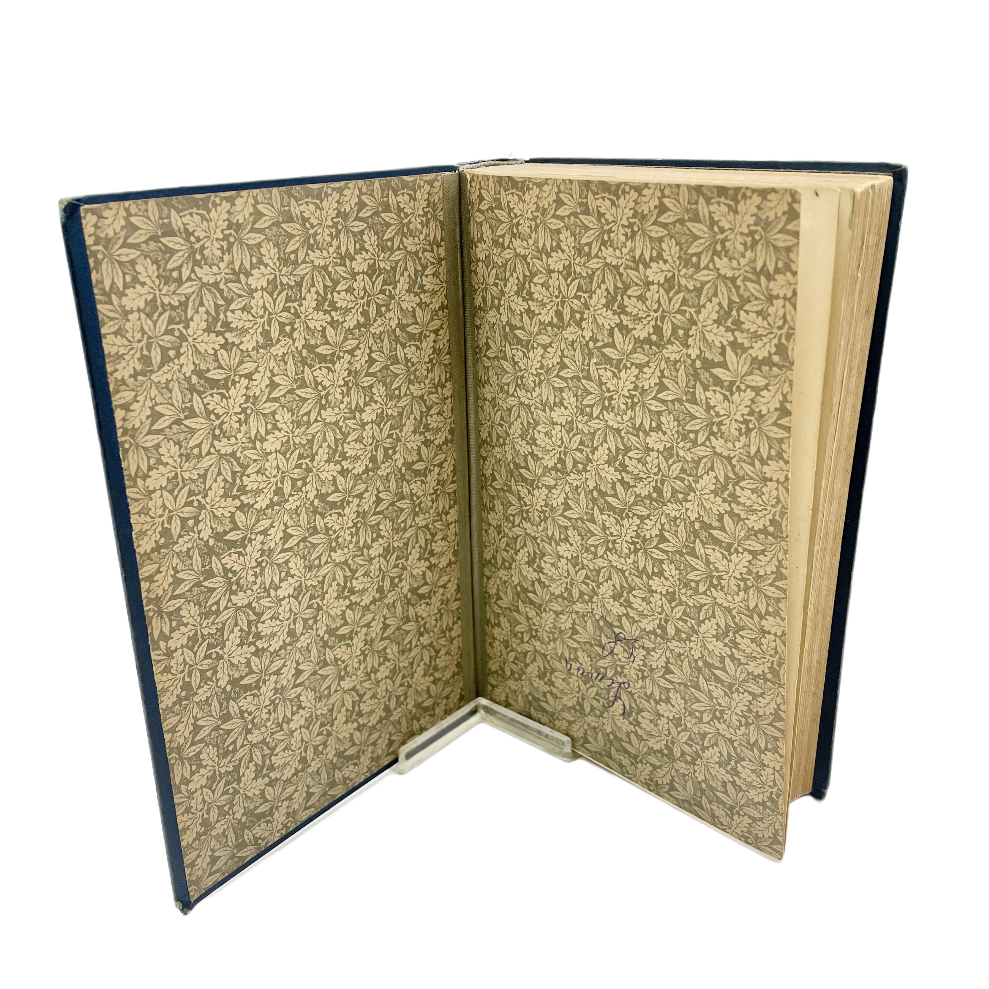 IN DUNKELSTEN AFRIKA