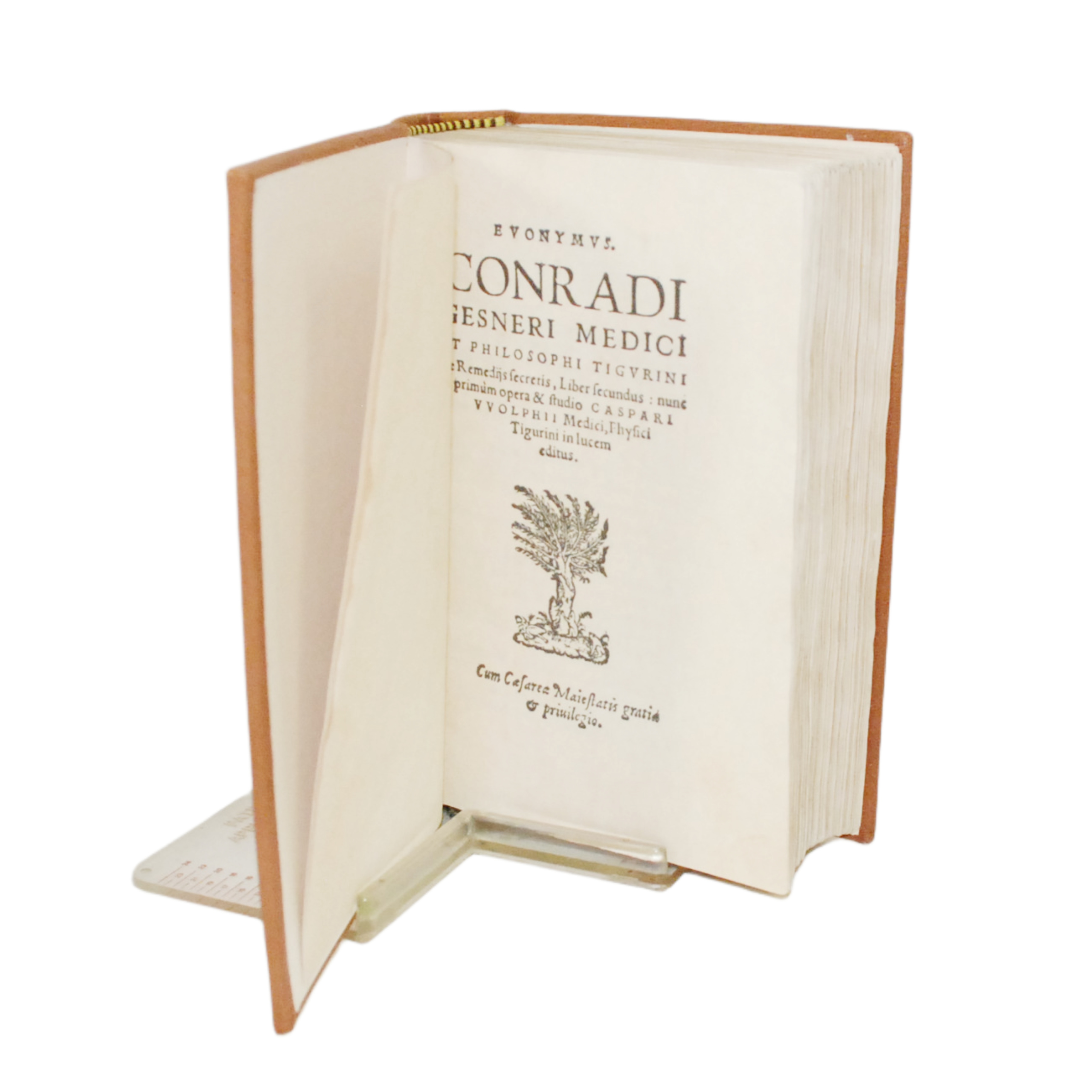 CONRADI GESNERI MEDICI ET PHILOSOPHI TIGURINI DE REMEDIS SECRETIS, LEBER SECUNDUS (THESAURUS DE REMEDIIS SECRETIS, LIBER SECUNDUS)