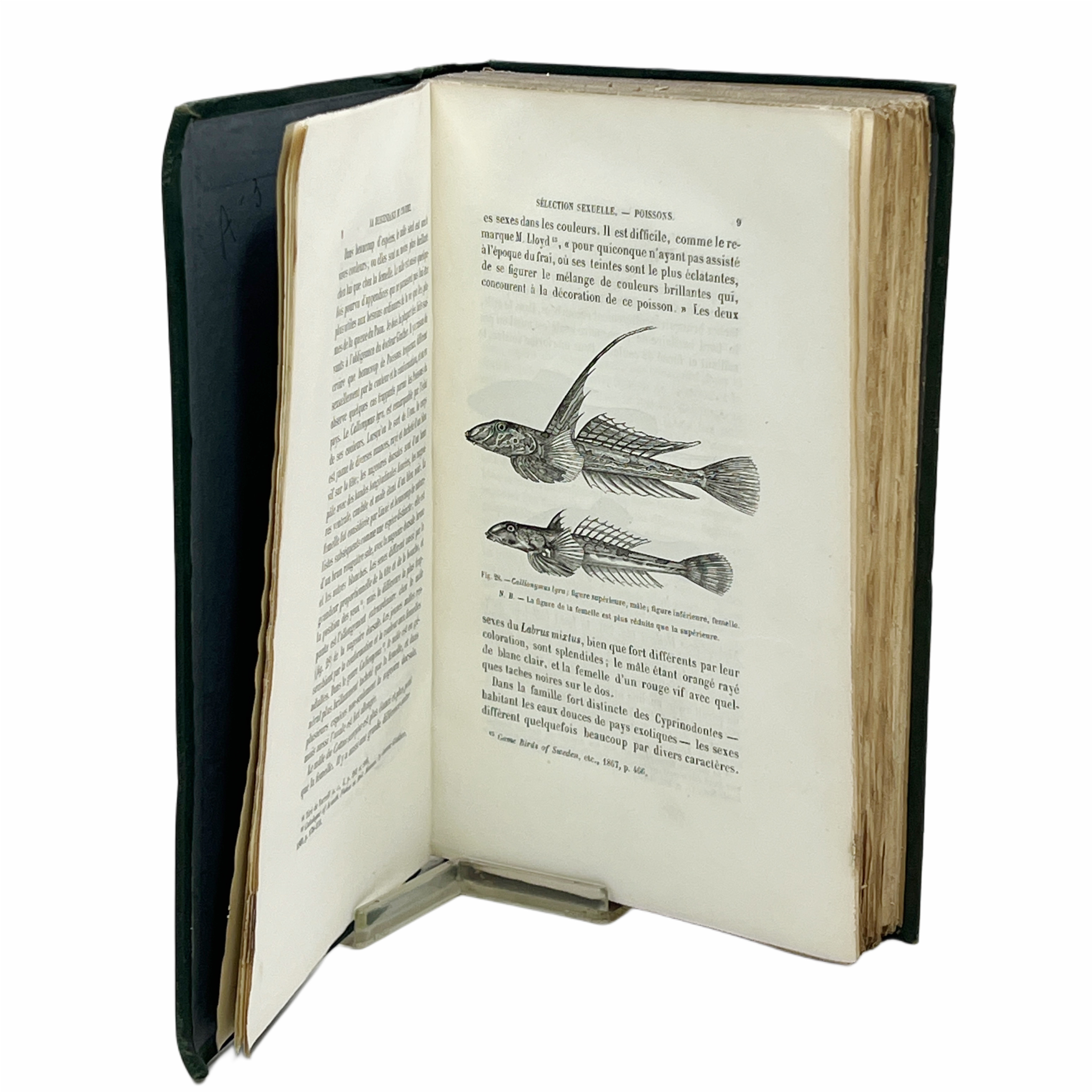 LA DESCENDANCE DE L'HOMME ET LA SELECTION SEXUELLE PAR ..., TRADUIT DE L'ANGLAIS PAR J.J. MOULINIE