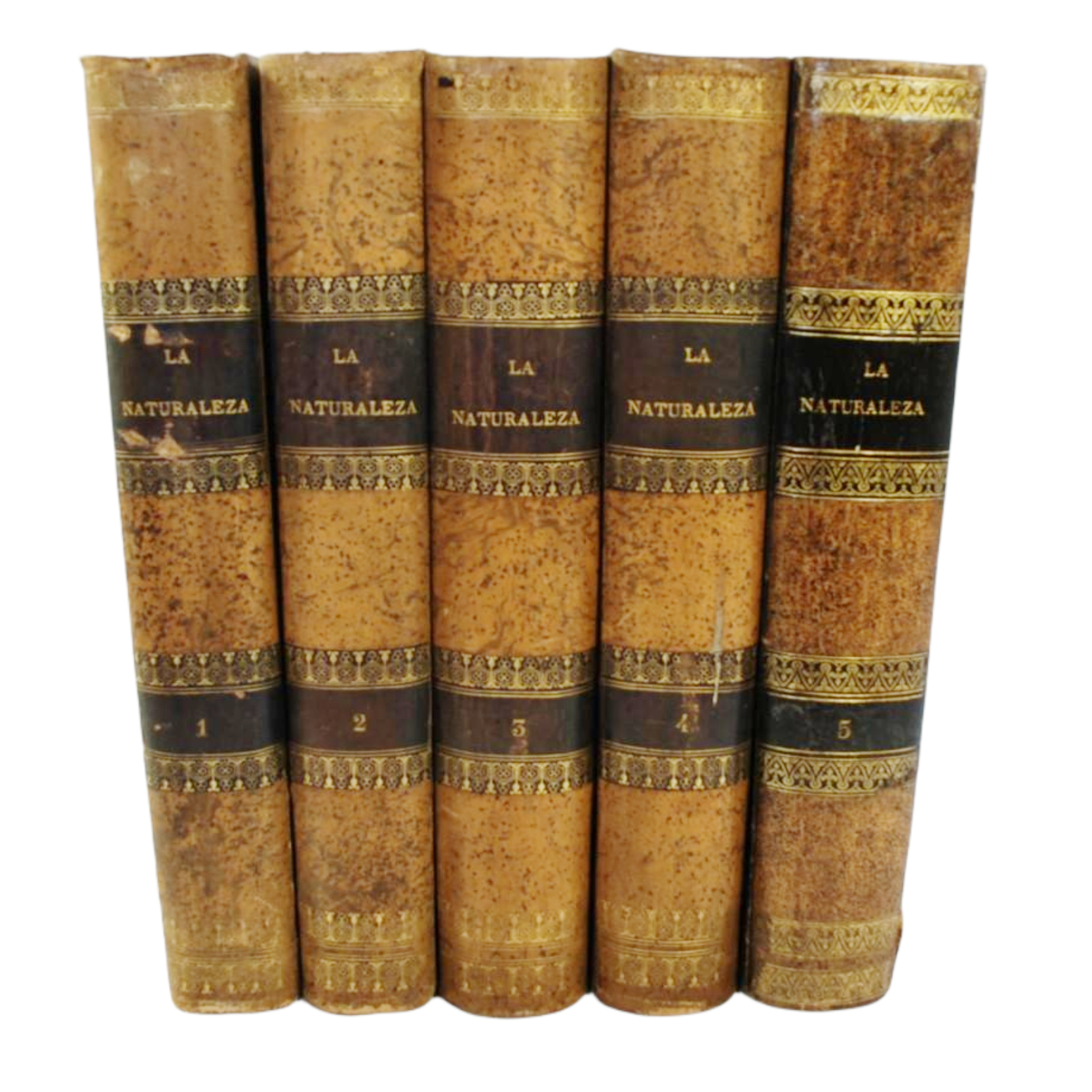LA NATURALEZA. HISTORIA NATURAL DEL PLANETA TIERRA CON LA DESCRIPCIÓN DE LOS SERES ORGÁNICOS QUE LA PUEBLAN Y LOS INORGÁNICOS QUE FORMAN SU MASA, COMPRENDIENDO LA ANTROPOLOGÍA, ZOOLOGÍA, BOTÁNICA, GEOLOGÍA Y MINERALOGÍA, ...