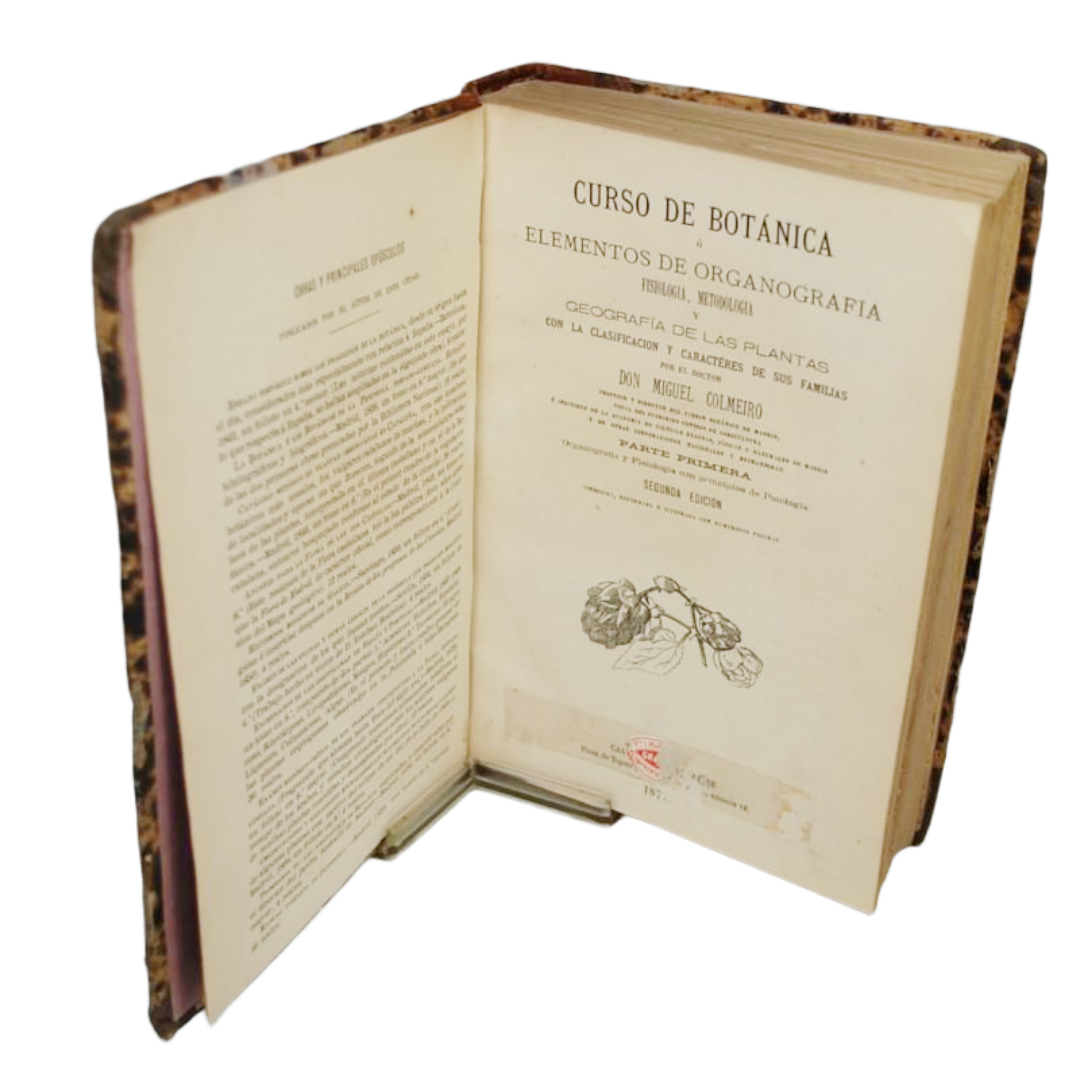 CURSO DE BOTÁNICA Ó ELEMENTOS DE ORGANOGRAFÍA, FISIOLOGÍA, METODOLOGÍA Y GEOGRAFÍA DE LAS PLANTAS CON LA CLASIFICACIÓN Y CARACTERES DE SUS FAMILIAS POR EL DOCTOR DON MIGUEL COLMÉIRO