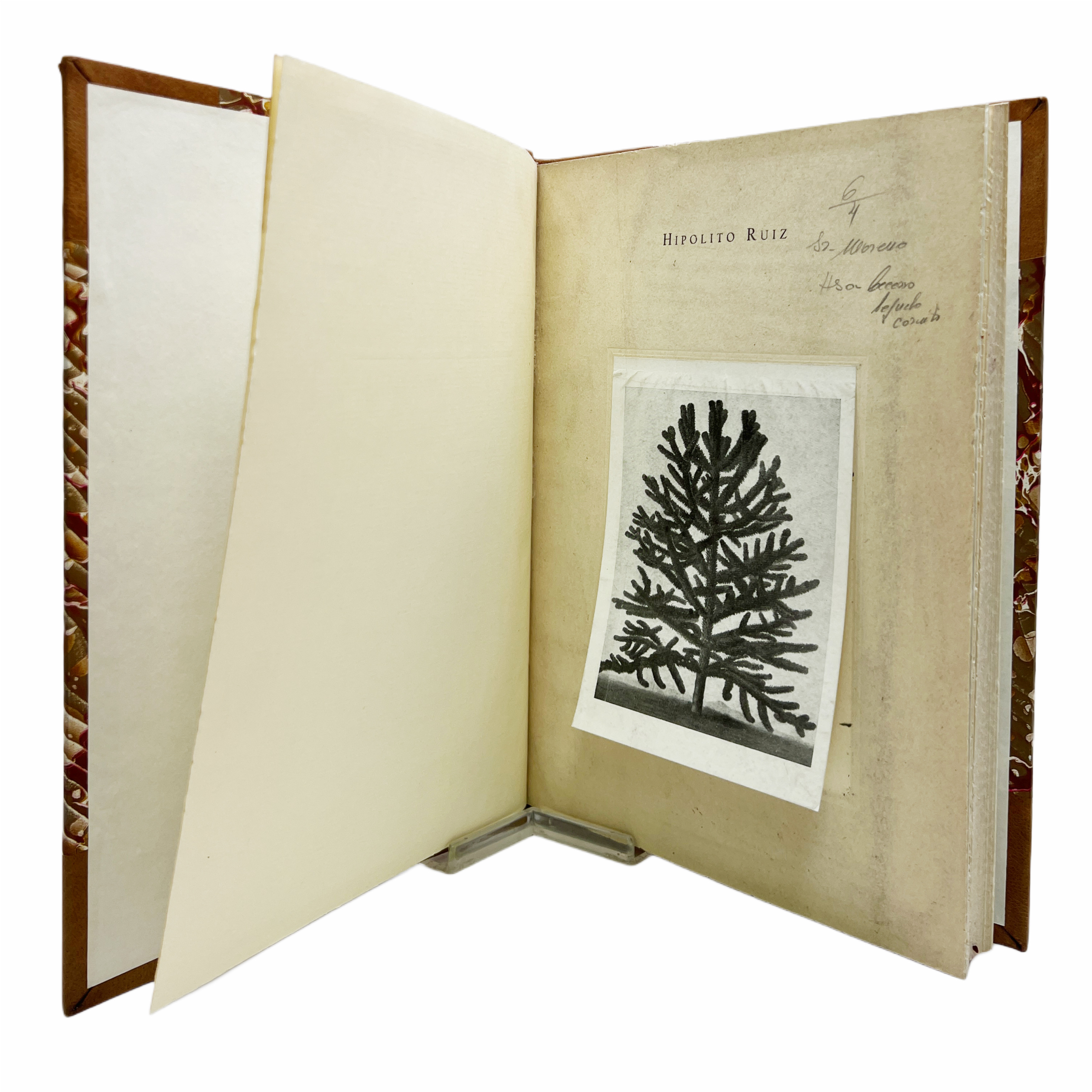 RELACION HISTORICA DEL VIAGE QUE HIZO A LOS REYNOS DEL PERU Y CHILE EL BOTANICO D. HIPOLITO RUIZ EN EL AÑO 1777 HASTA EL 1788, EN CUYA ÉPOCA REGRESO A MADRID