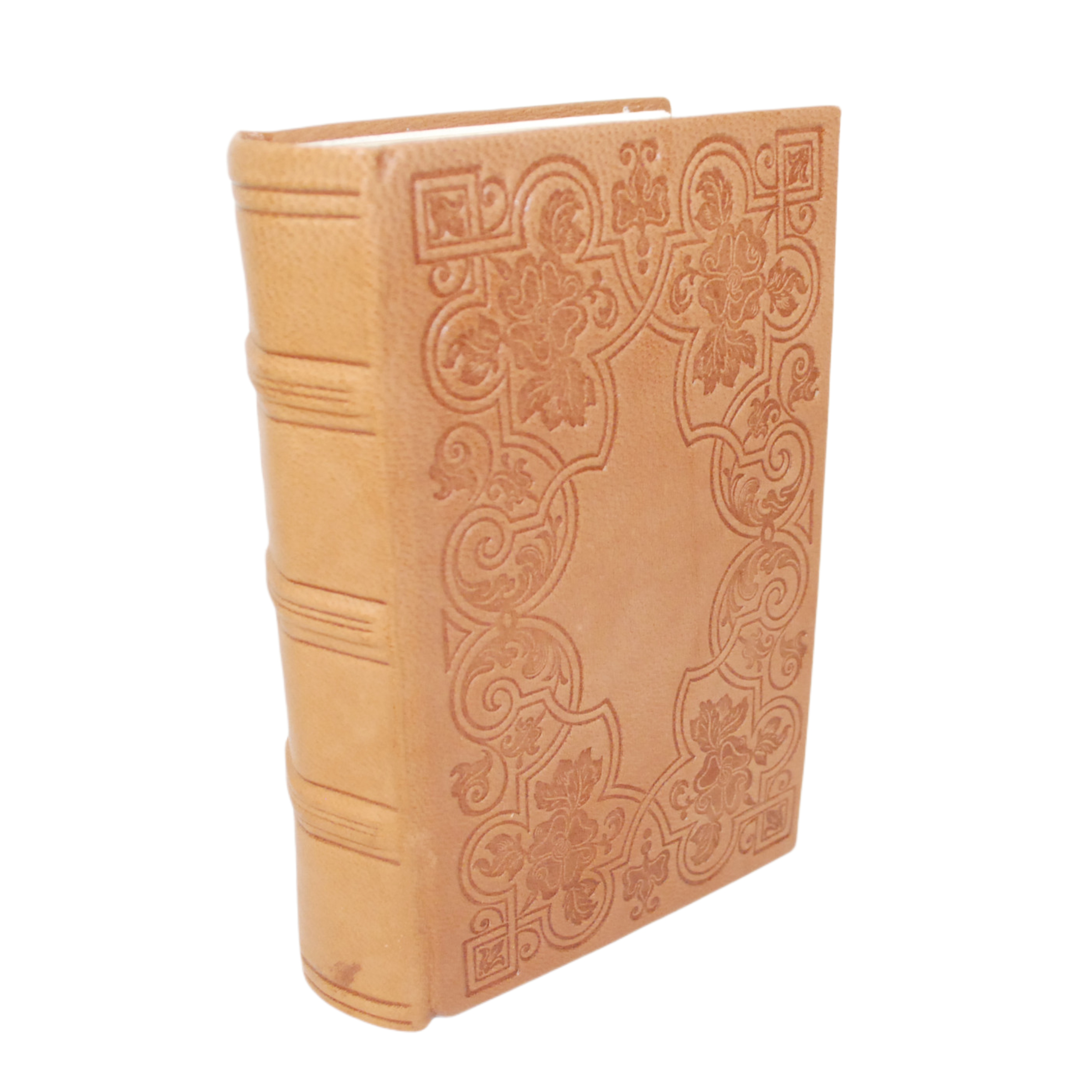 CONRADI GESNERI MEDICI ET PHILOSOPHI TIGURINI DE REMEDIS SECRETIS, LEBER SECUNDUS (THESAURUS DE REMEDIIS SECRETIS, LIBER SECUNDUS)