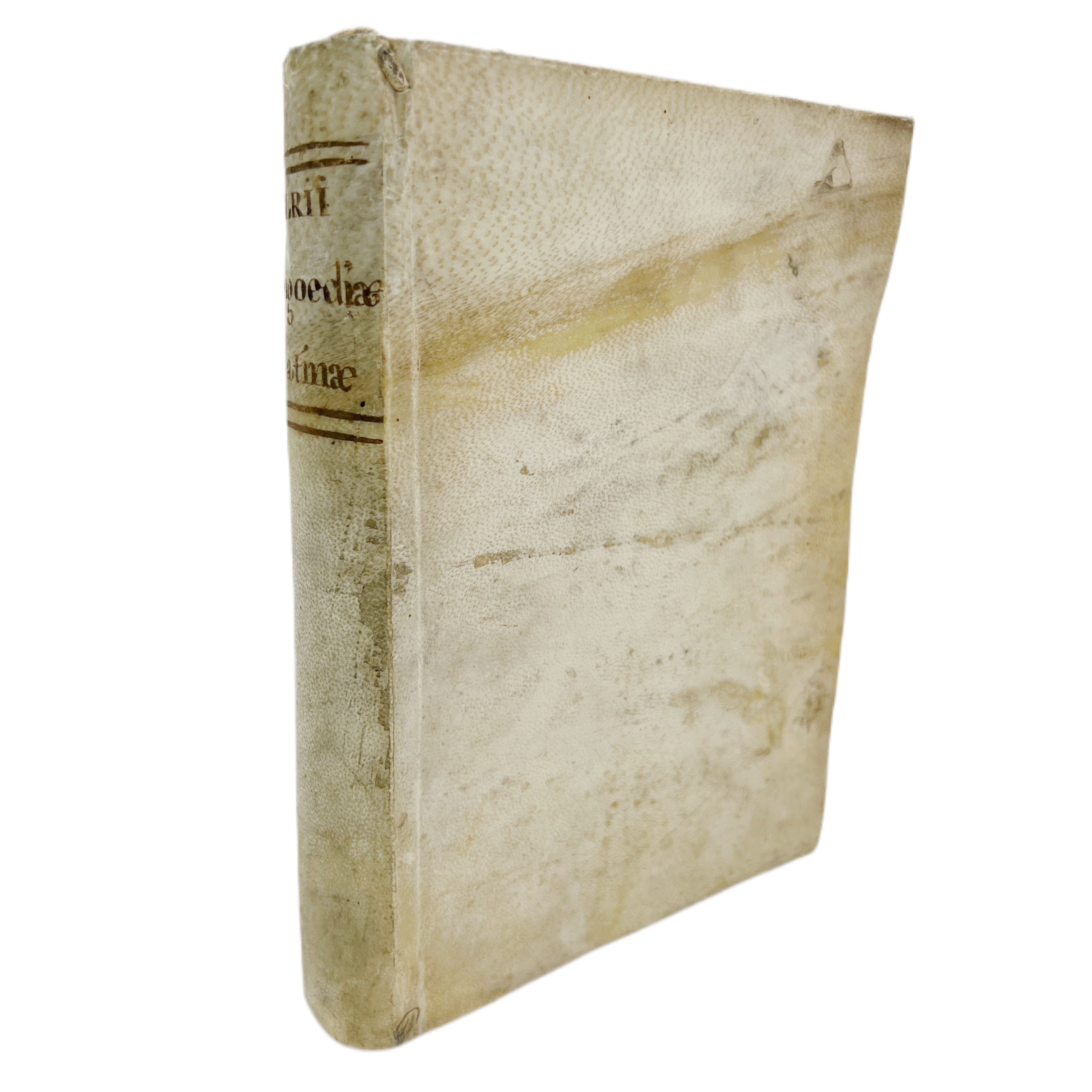 SYNTAGMA TRAGOEDIAE LATINAE, IN TRES PARTES DISTINCTUM.