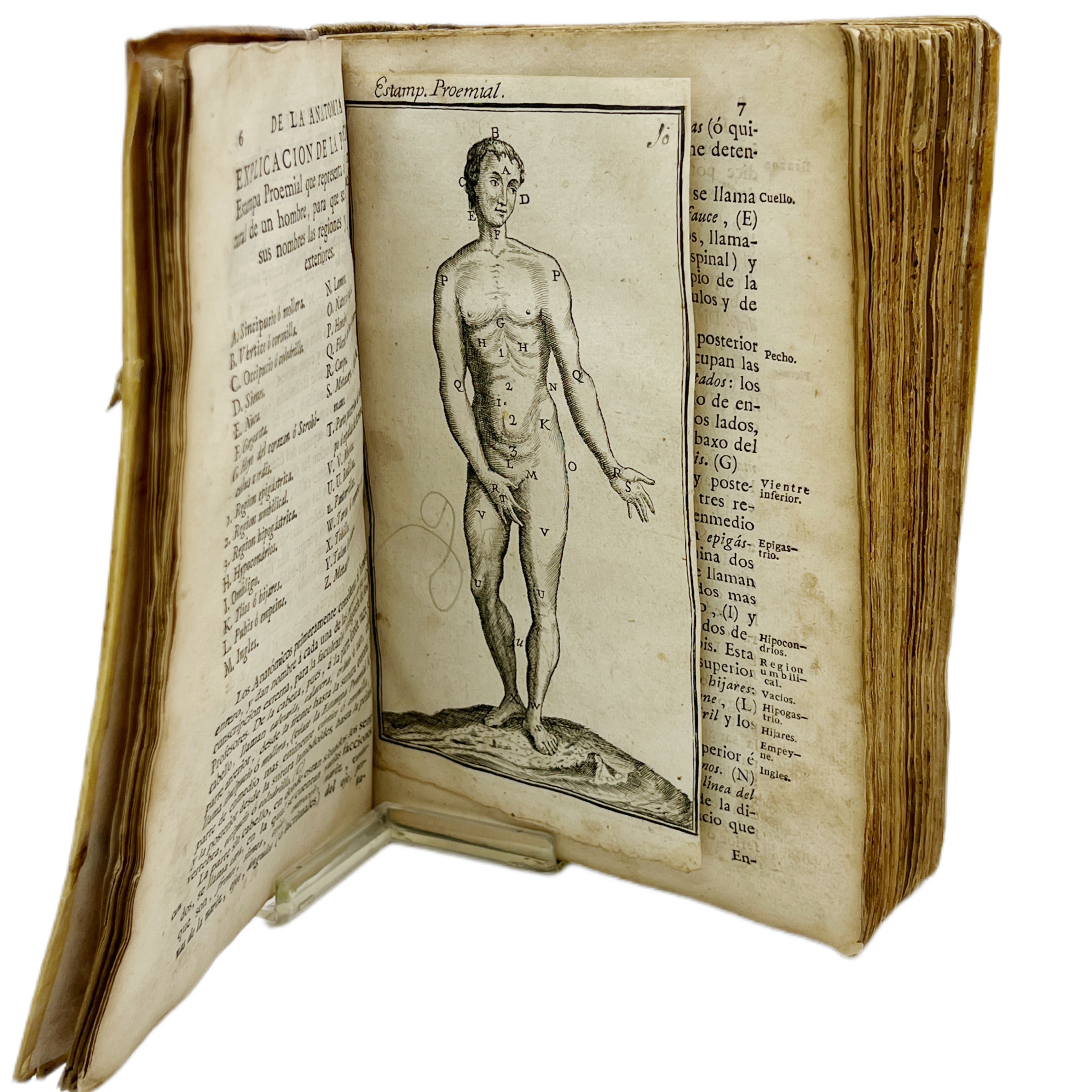 ANATOMÍA COMPLETA DEL HOMBRE CON TODOS LOS HALLAZGOS, NUEVAS DOCTRINAS, Y OBSERVACIONES RARAS HASTA EL TIEMPO PRESENTE Y MUCHAS ADVERTENCIAS NECESARIAS PARA LA CIRUGÍA SEGÚN EL MÉTODO CON QUE SE EXPLICA EN NUESTRO TEATRO DE MADRID