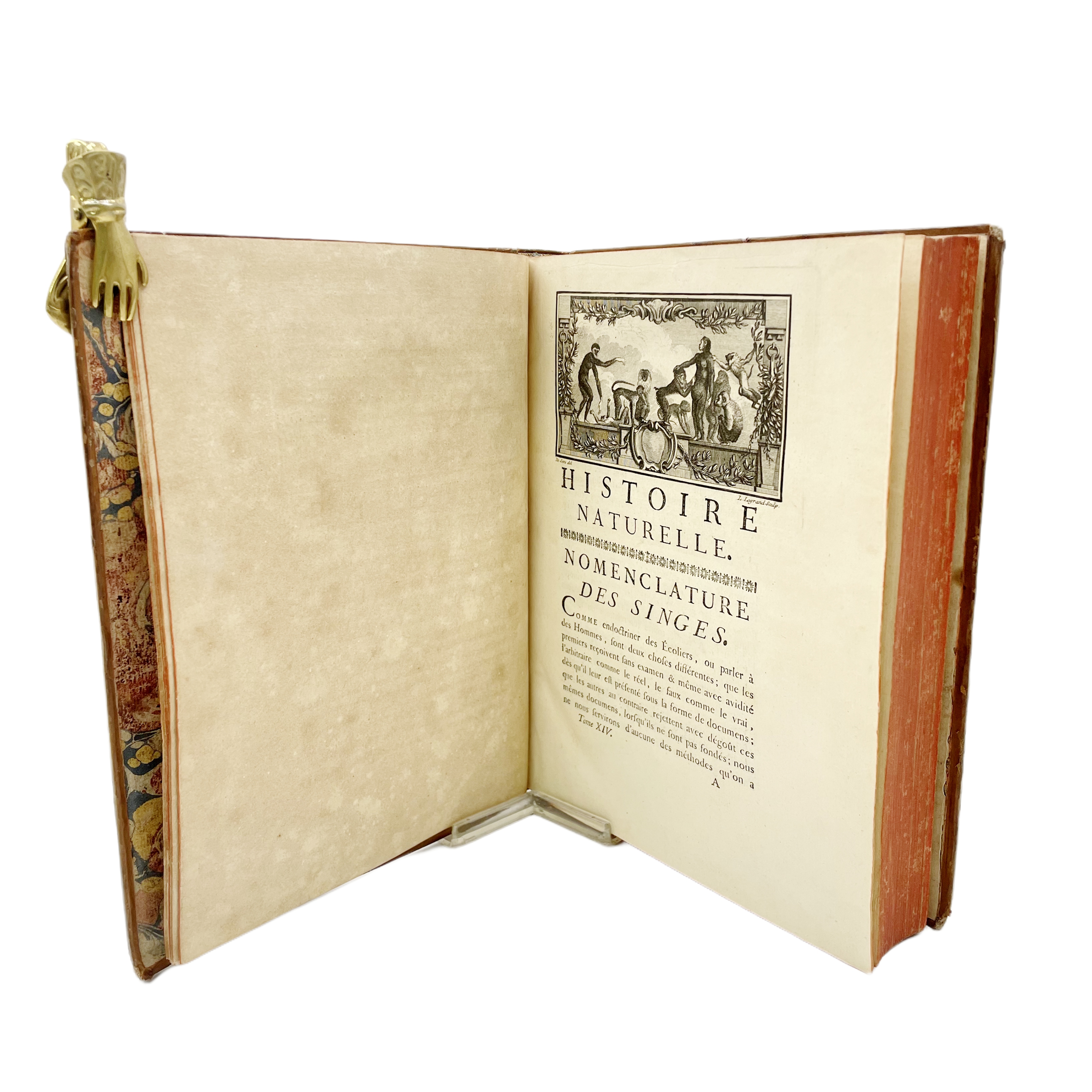 HISTOIRE NATURELLE GENERALE ET PARTICULIERE, AVEC LA DESCRIPTION DU CABINET DU ROI. TOME QUATORZIÈME.