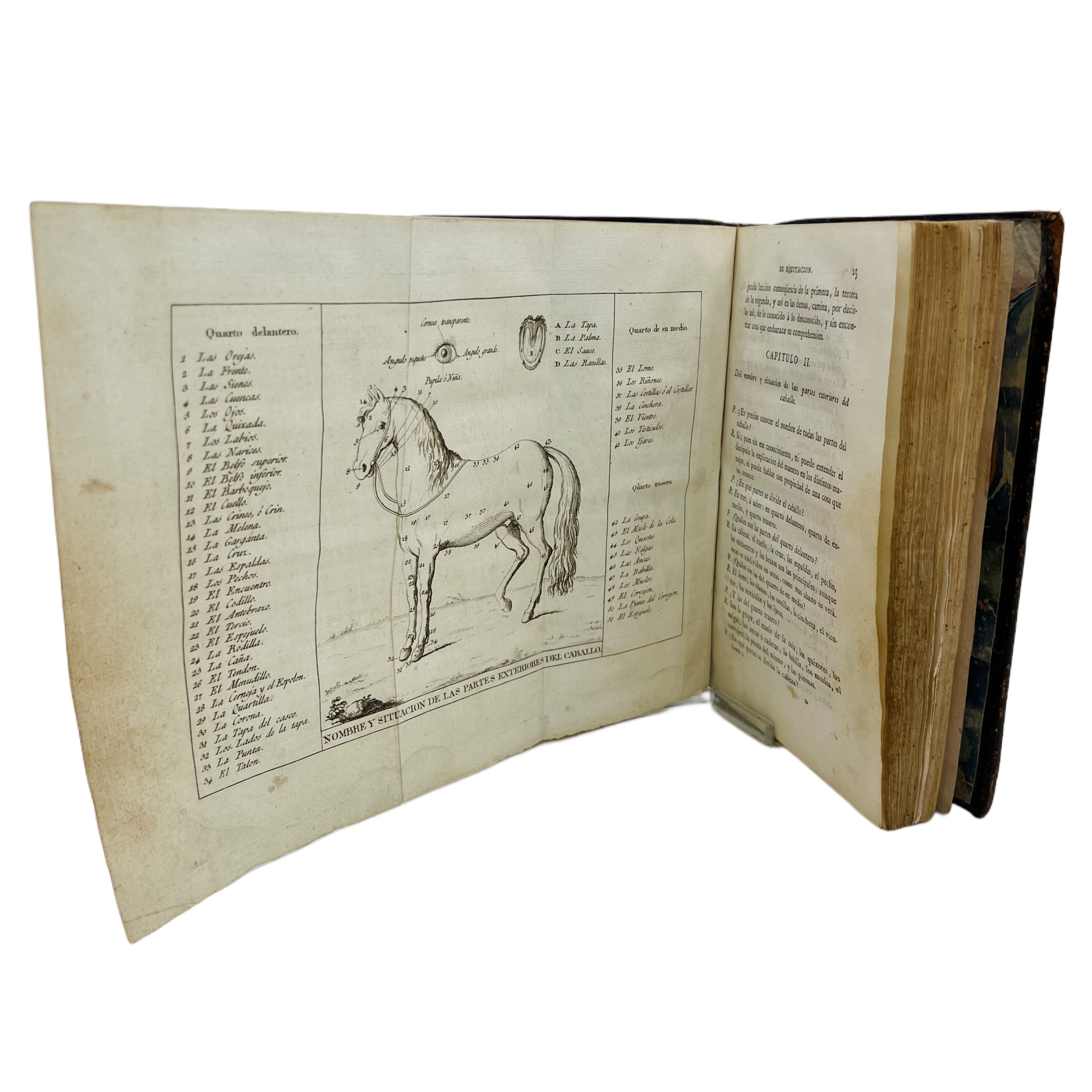ENSAYOS SOBRE LOS VERDADEROS PRINCIPIOS DE LA EQUITACIÓN, TEORÍA DE LA ESCUELA A CABALLO...,