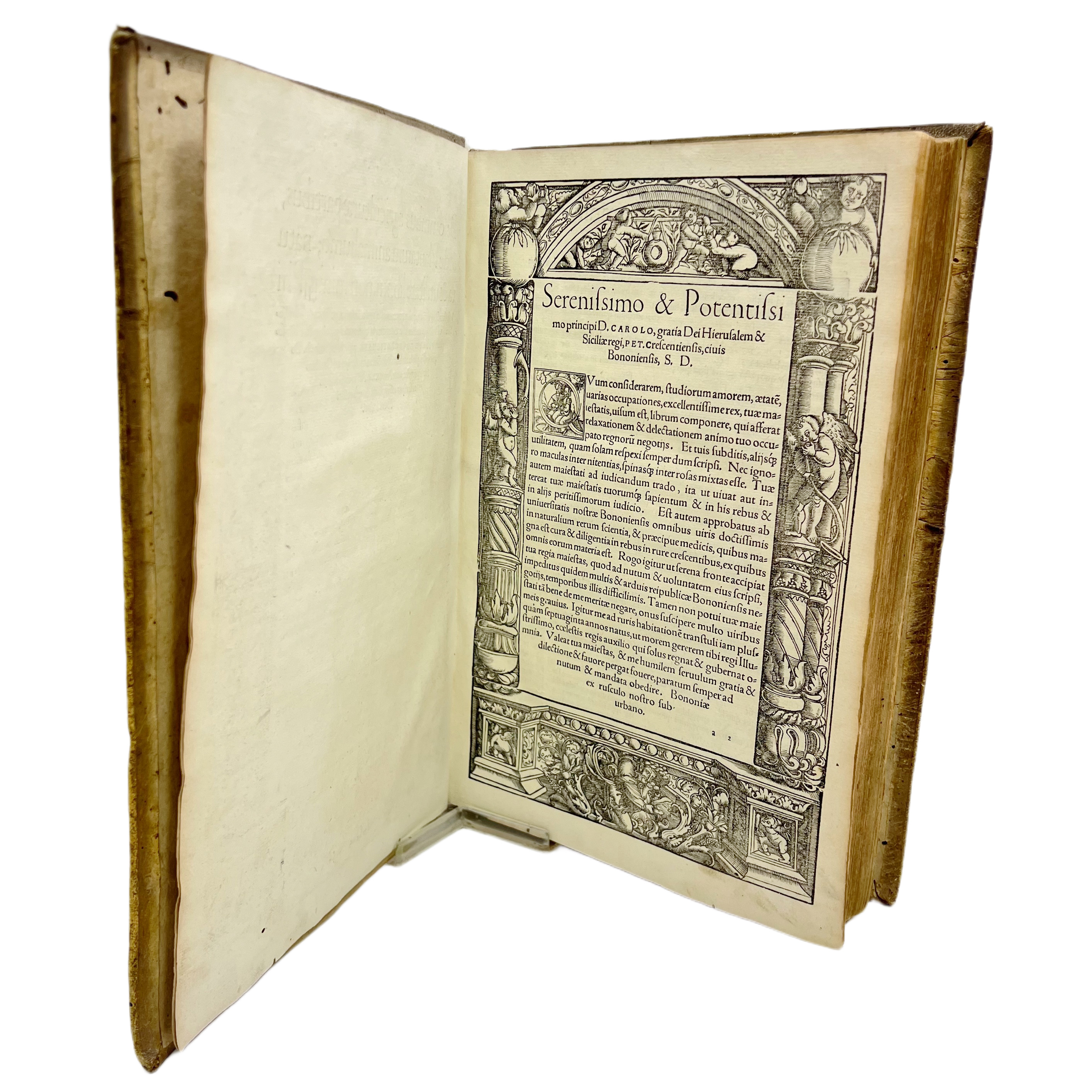 DE OMNIBUS AGRICULTURAE PARTIBUS, & DE PLANTARUM ANIMAIUMQ(UE) NATURA & UTILITATE LIB. XII.