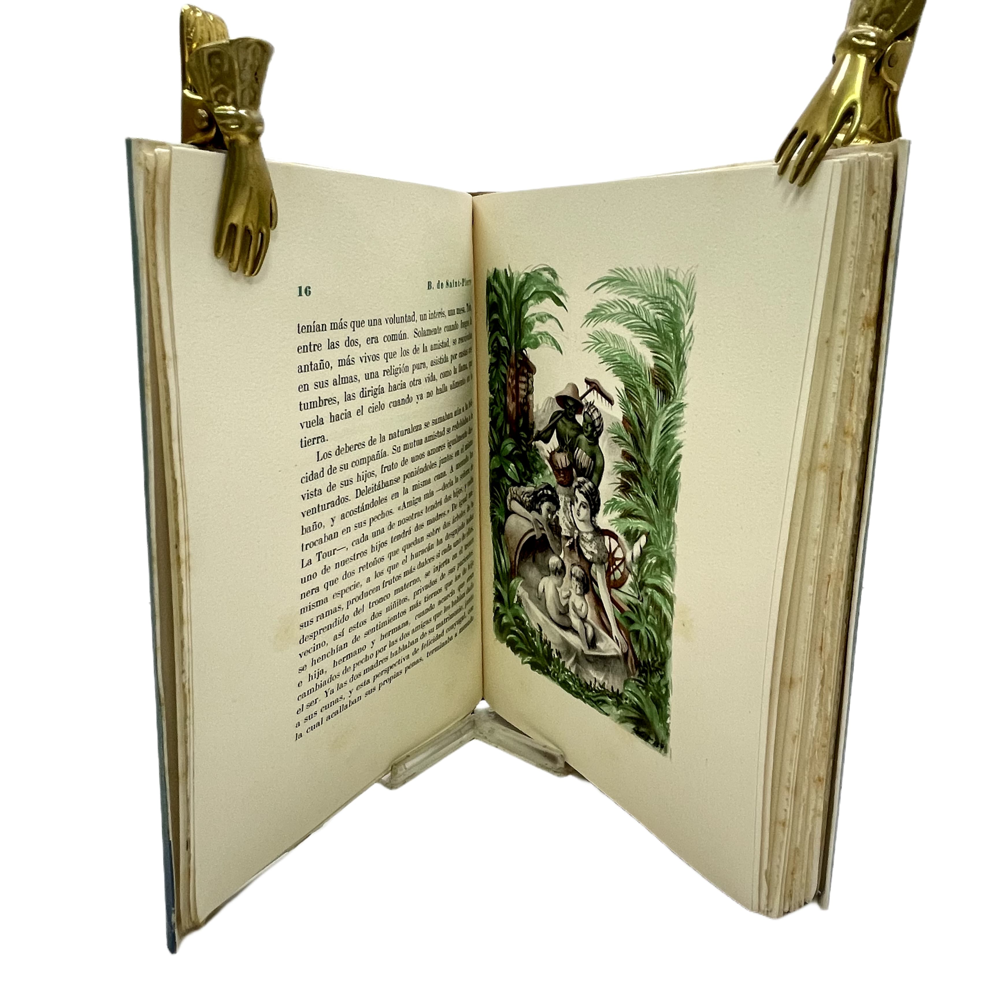 PABLO Y VIRGINIA. TRADUCCIÓN DE RAFAEL M. BISBAL. ILUSTRACIONES DE ALFREDO OPISSO.