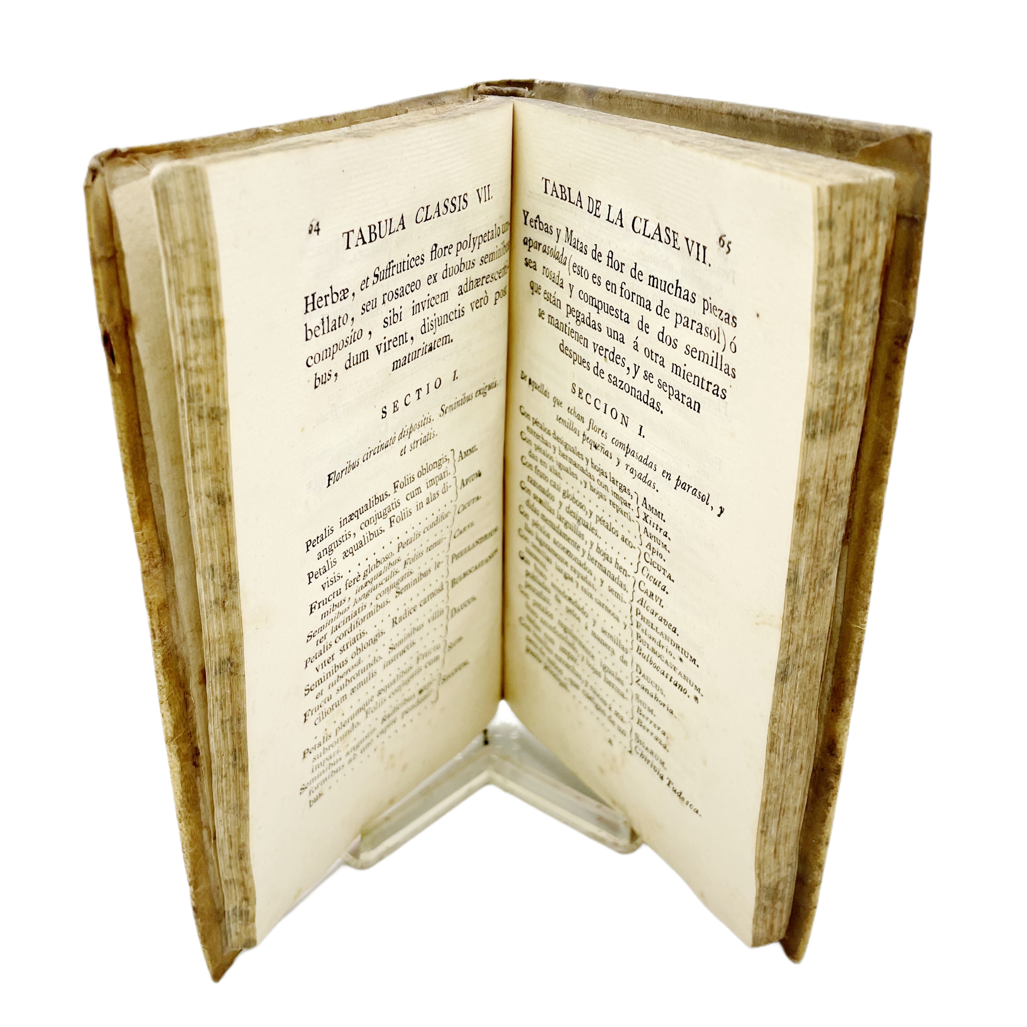 TABLAS BOTÁNICAS: EN QUE SE EXPLICAN SUMARIAMENTE LAS CLASES, SECCIONES Y GÉNEROS DE PLANTAS QUE TRAE TOURNEFORT EN SUS INSTITUCIONES... 