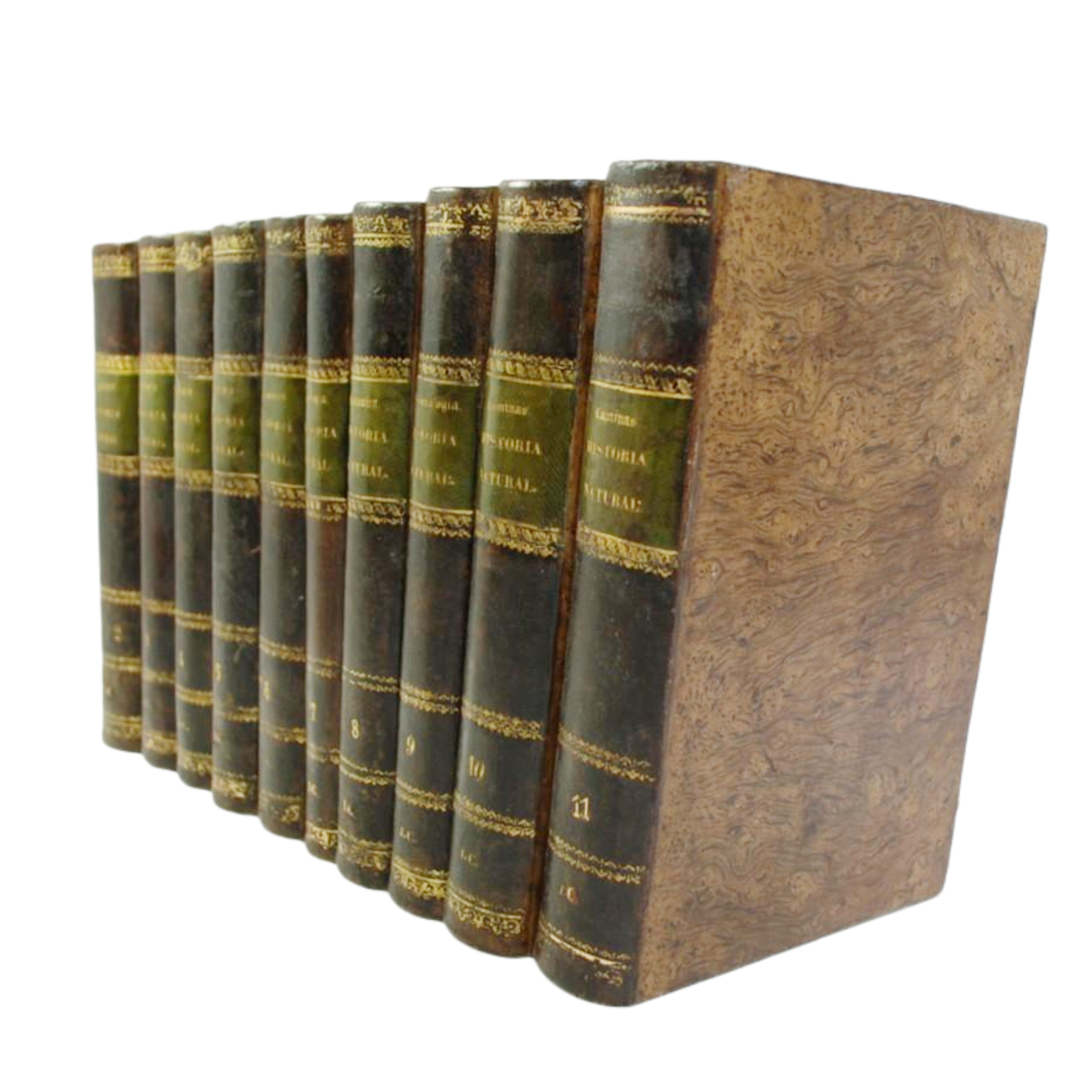 LOS TRES REINOS DE LA NATURALEZA. MUSEO PINTORESCO DE HISTORIA NATURAL. DESCRIPCIÓN COMPLETA DE LOS ANIMALES, VEGETALES Y MINERALES ÚTILES Y AGRADABLES. CON UN TRATADO DE GEOLOGÍA. Y UN BOSQUEJO HISTÓRICO .....