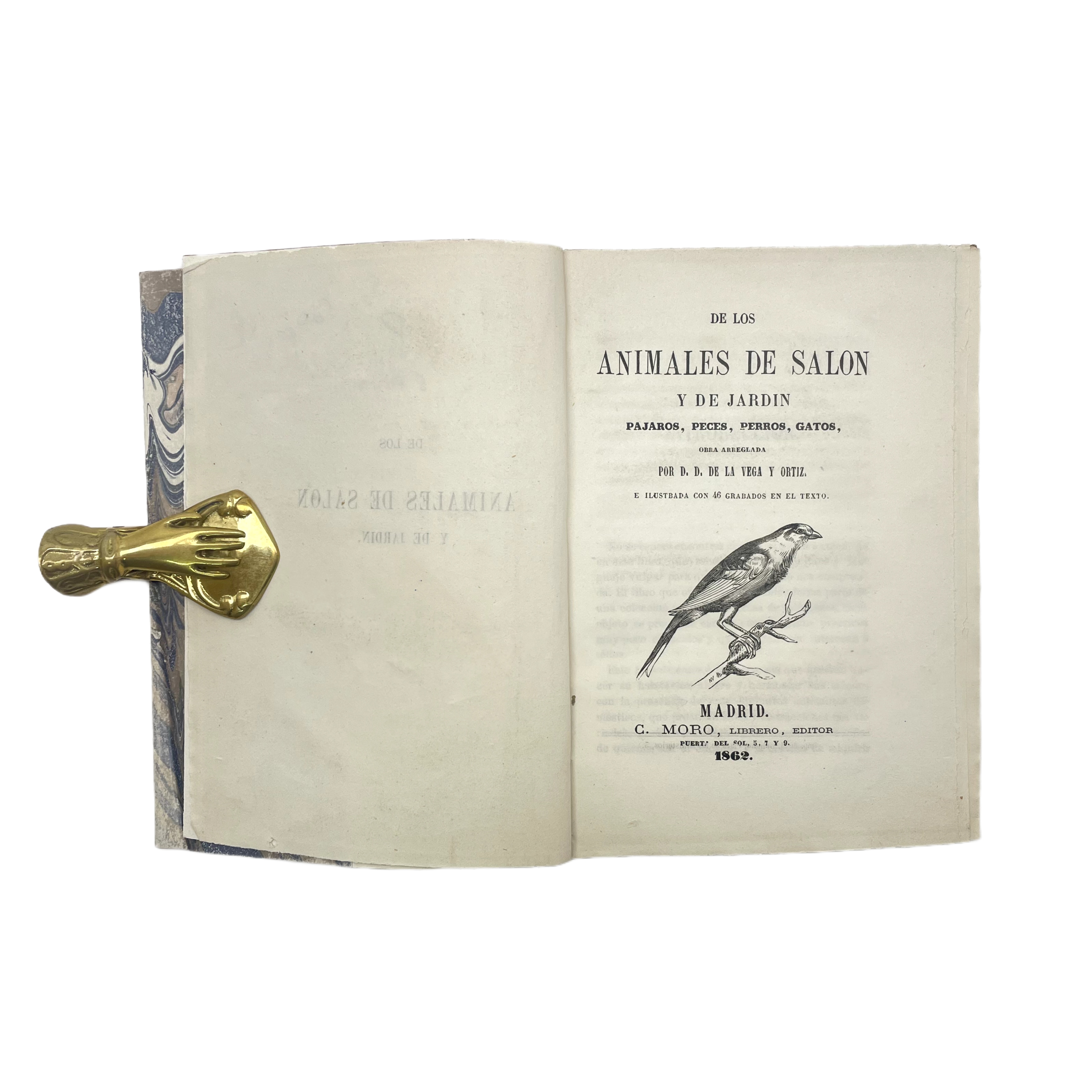 DE LOS ANIMALES DE SALÓN Y DE JARDÍN PÁJAROS, PECES, PERROS, GATOS, OBRA ARREGLADA POR D. D. DE LA VEGA Y ORTIZ E ILUSTRADA CON 46 GRABADOS EN EL TEXTO.