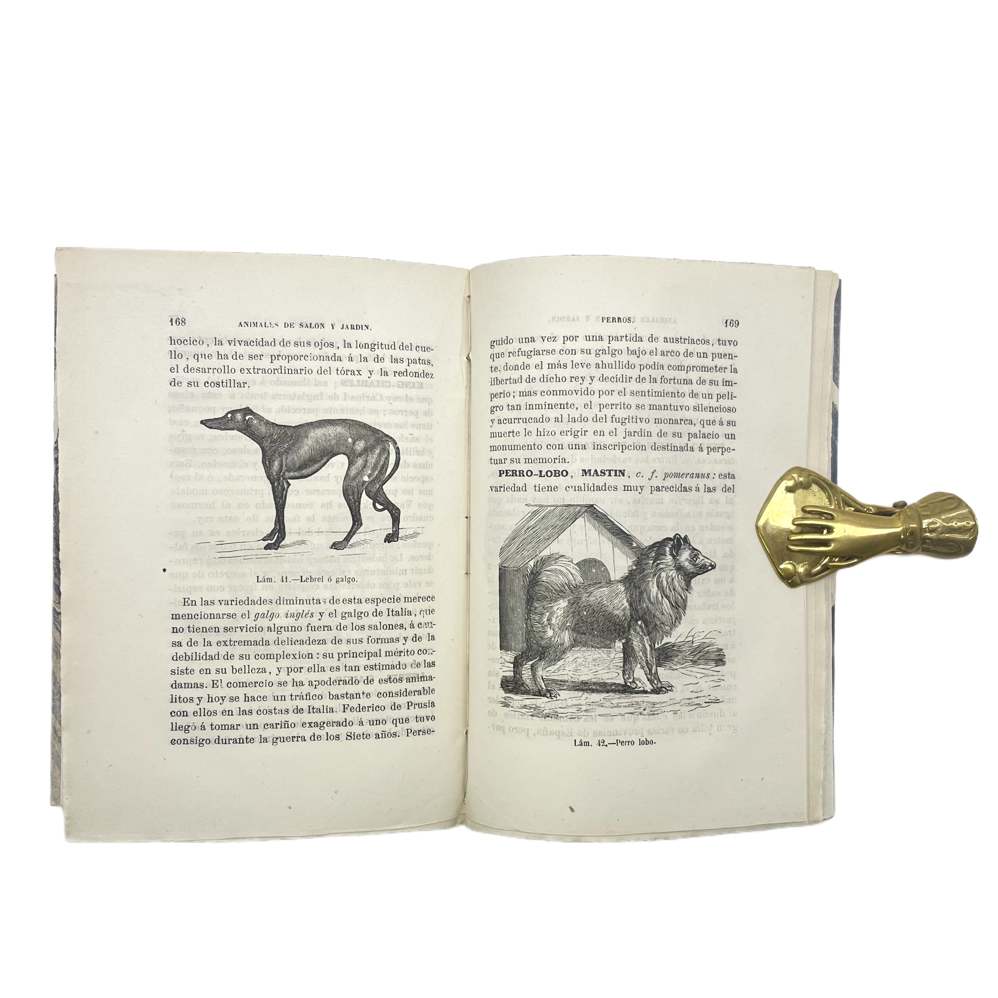 DE LOS ANIMALES DE SALÓN Y DE JARDÍN PÁJAROS, PECES, PERROS, GATOS, OBRA ARREGLADA POR D. D. DE LA VEGA Y ORTIZ E ILUSTRADA CON 46 GRABADOS EN EL TEXTO.