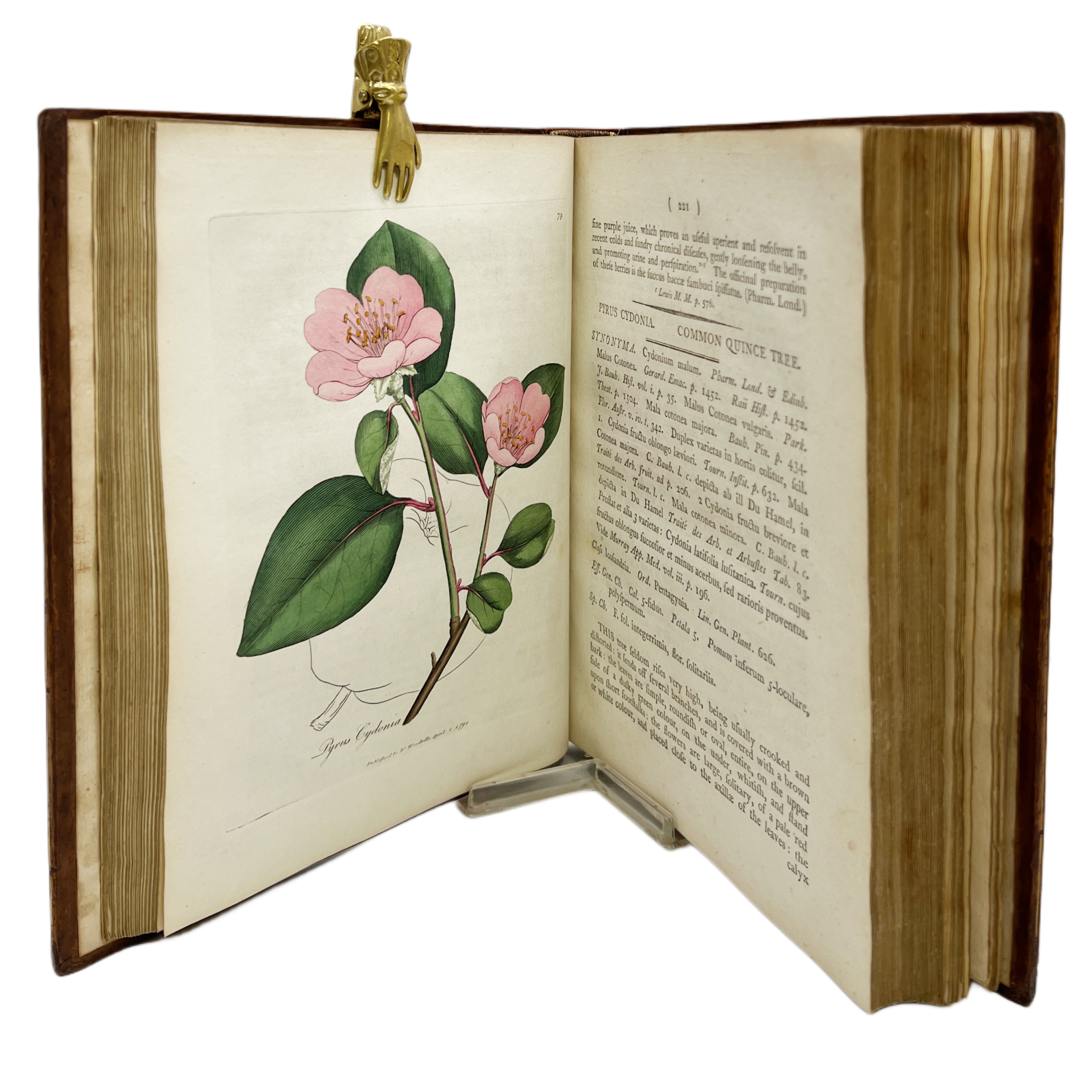 MEDICAL BOTANY CONTAINING SYSTEMATIC AND GENERAL DESCRIPTIONS, WITH PLATES, OF ALL THE MEDICINAL PLANTS, INDIGENOUS AND EXOTIC, COMPREHENDED IN THE CATALOGUES OF THE MATERIA MEDICA. ACCOMPANIED WITH A CIRCUMSTANTIAL DETAIL OF THEIR MEDICINAL EFFECTS