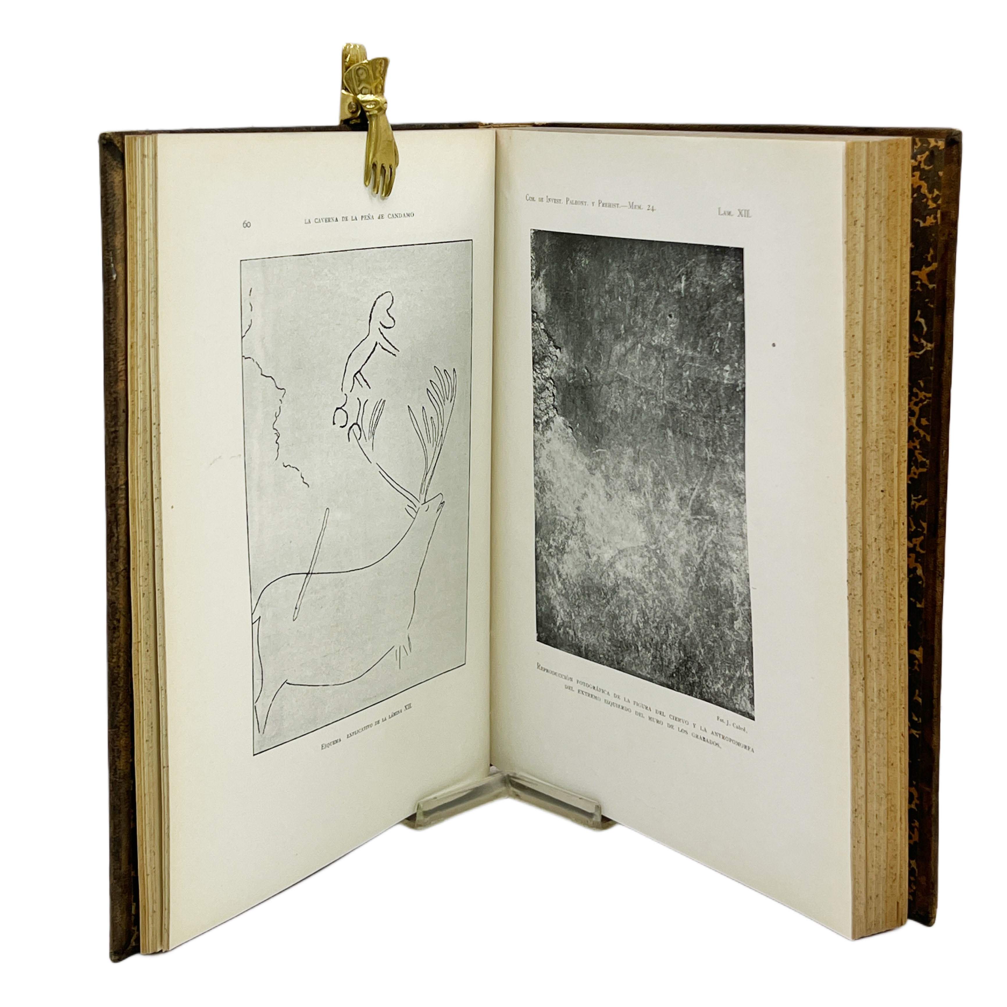 LA CAVERNA DE LA PEÑA DE CANDAMO (ASTURIAS)