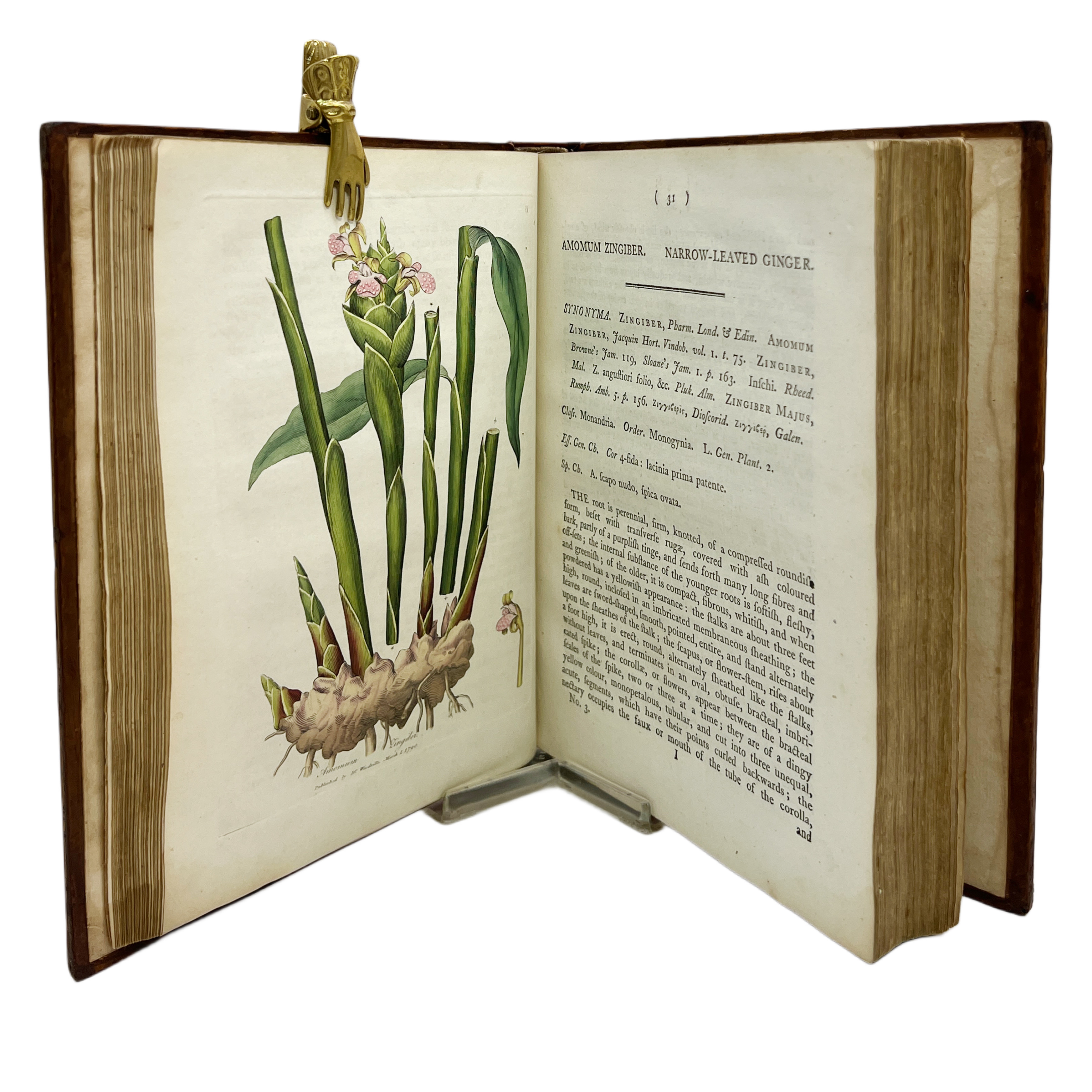 MEDICAL BOTANY CONTAINING SYSTEMATIC AND GENERAL DESCRIPTIONS, WITH PLATES, OF ALL THE MEDICINAL PLANTS, INDIGENOUS AND EXOTIC, COMPREHENDED IN THE CATALOGUES OF THE MATERIA MEDICA. ACCOMPANIED WITH A CIRCUMSTANTIAL DETAIL OF THEIR MEDICINAL EFFECTS
