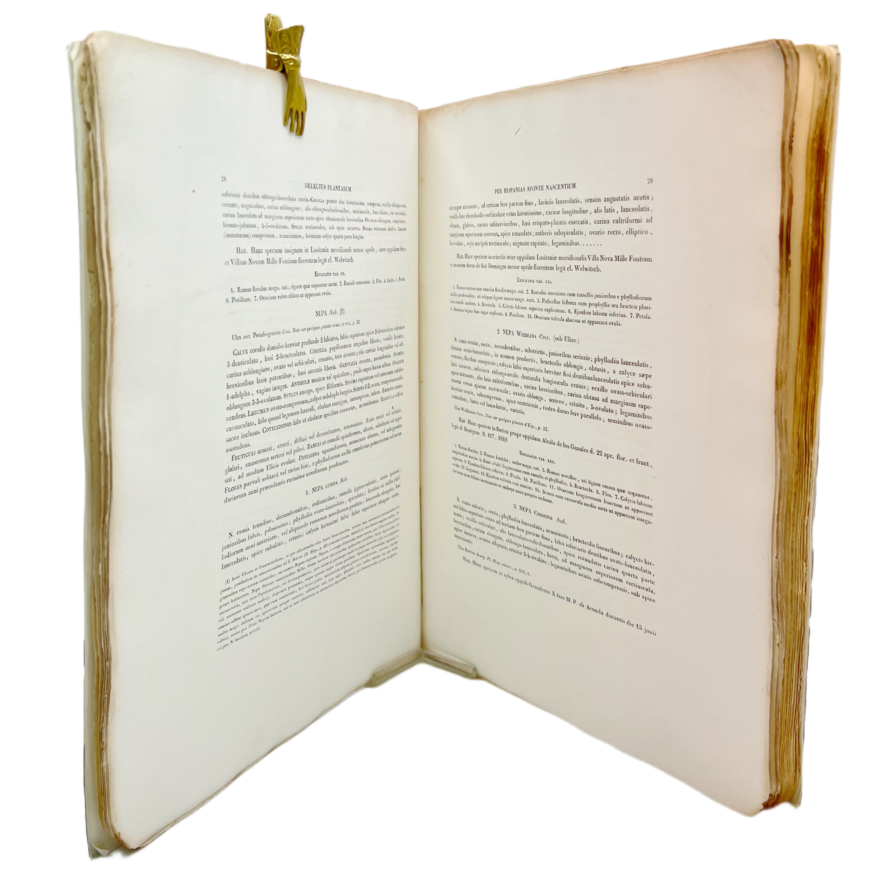 OTIA HISPANICA SEU DELECTUS PLANTARUM RARIORUM AUT NONDUM RITE NOTARUM PER HISPANIAS SPONTE NASCENTIUM, AUCTORE PHILIPPO BARKER WEBB