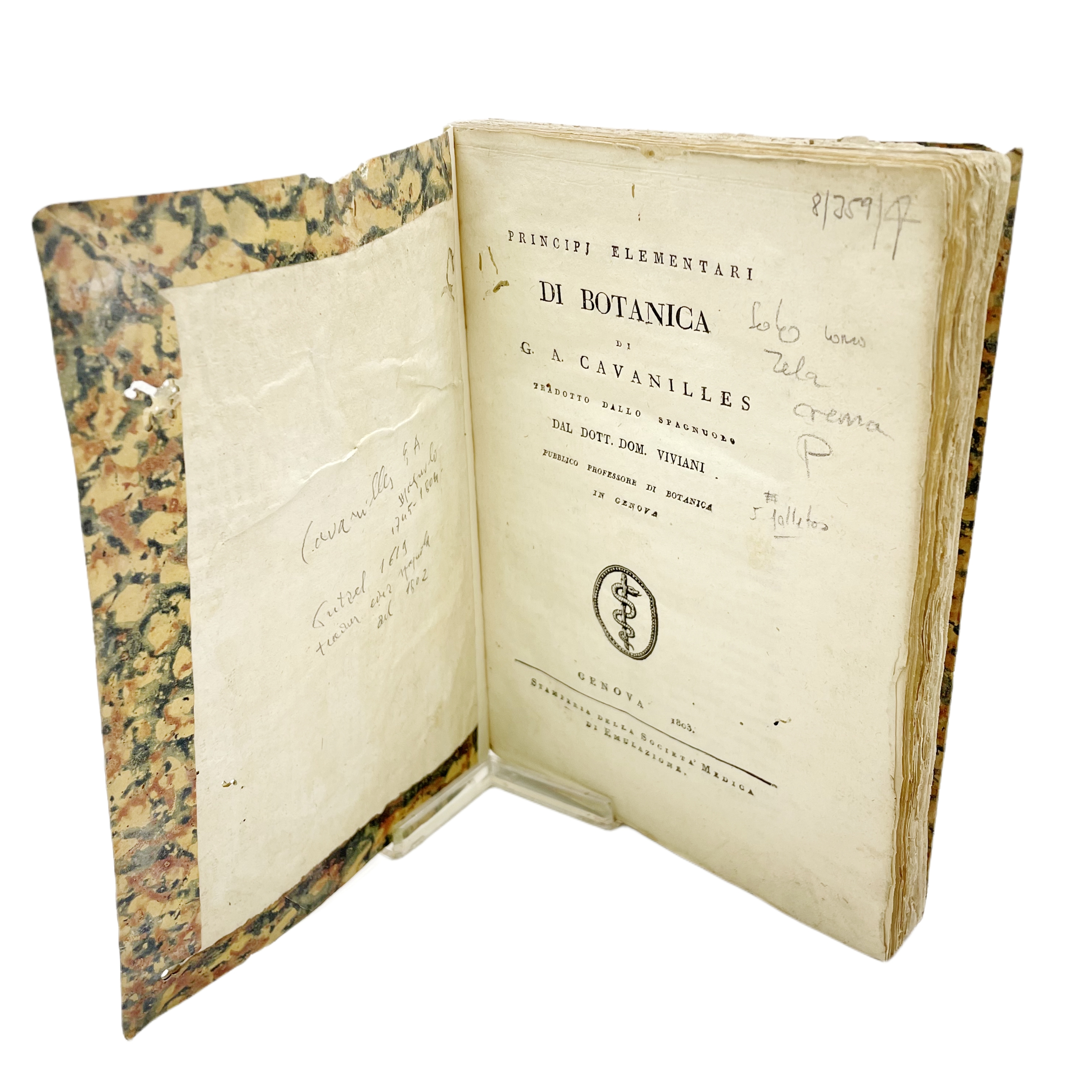 PRINCIPI ELEMENTARI DI BOTANICA DI G. A. CAVANILLES TRADOTTO DALLO SPAGNUOLO DAL DOTT. DOM. VIVIANI PUBLICOPROFESSORE DI BOTANICA IN GENOVA